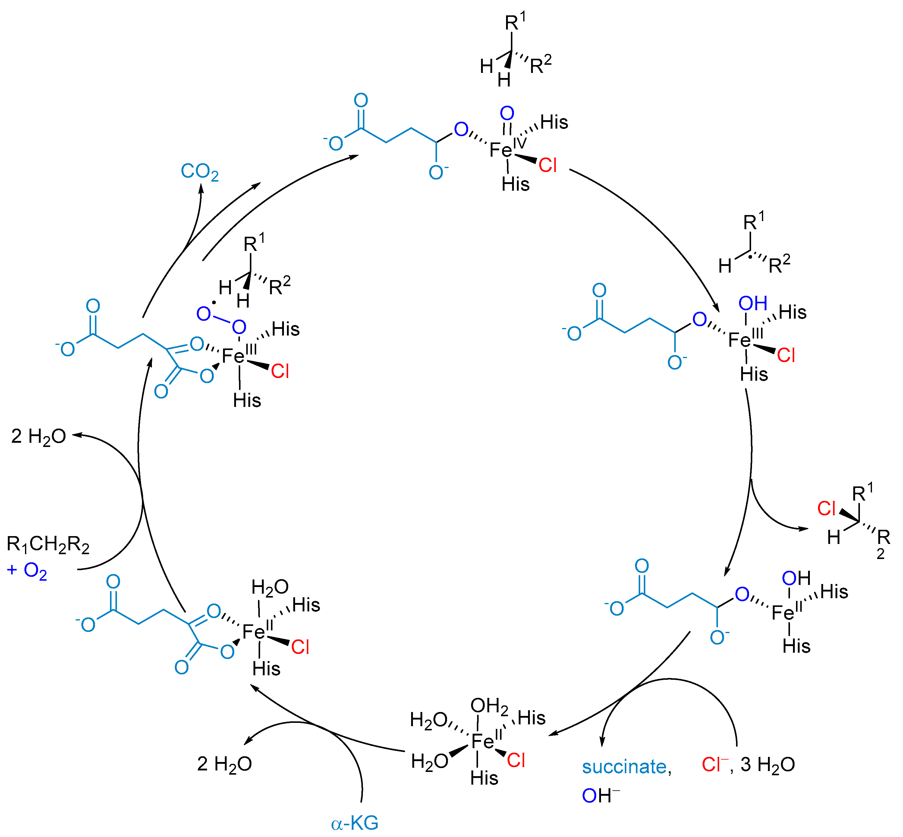 Molecules 24 04008 g016