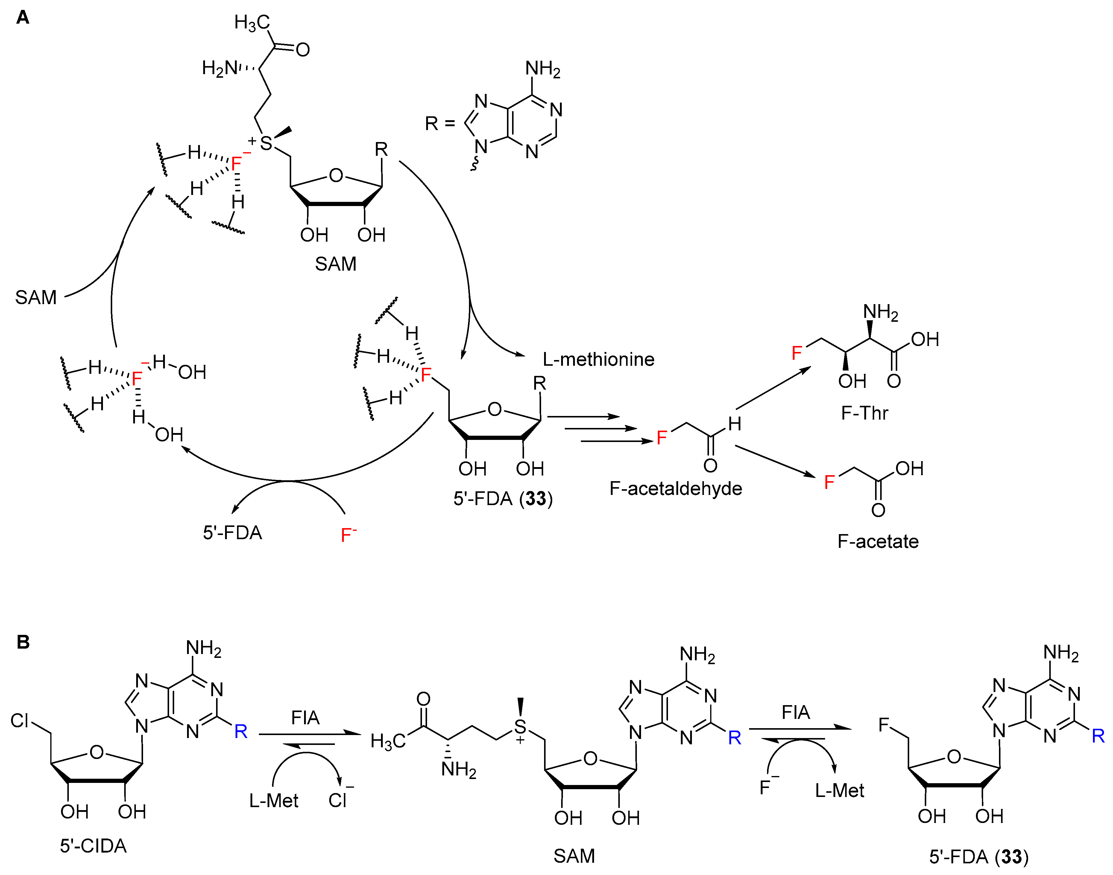 Molecules 24 04008 g018