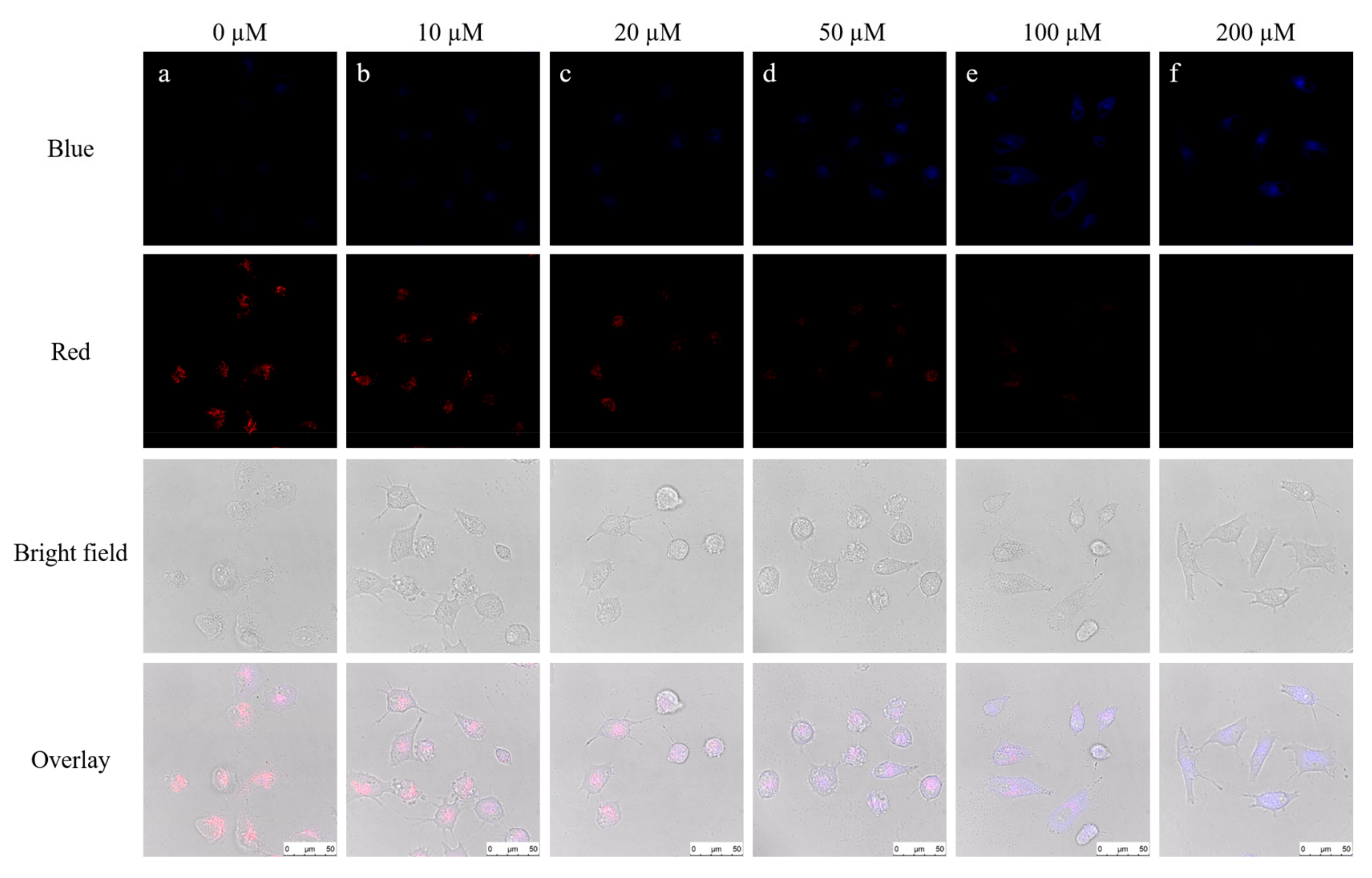 Molecules 24 04011 g006 Molecules 24 04011 g006