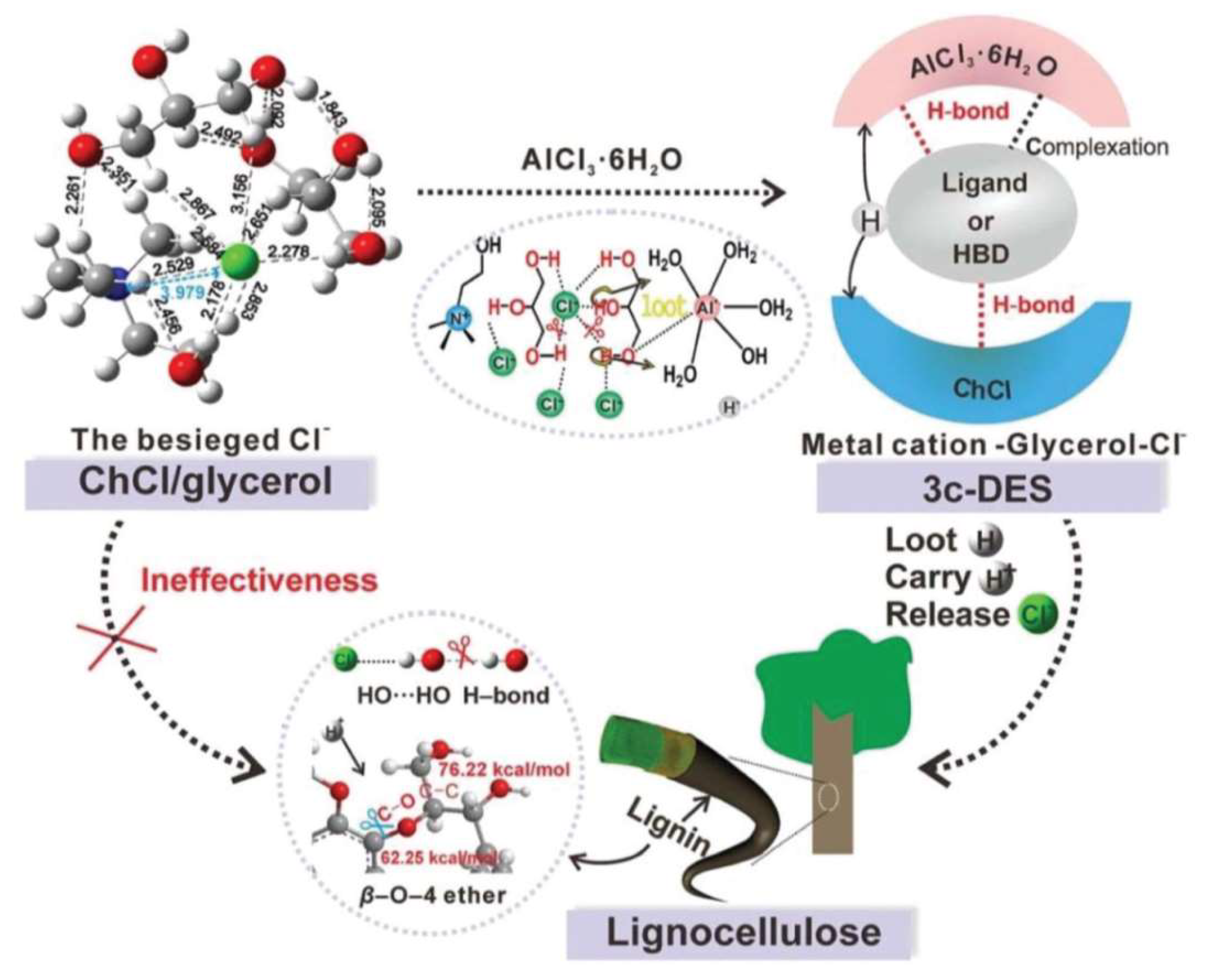 Molecules 24 04012 g010 Molecules 24 04012 g010