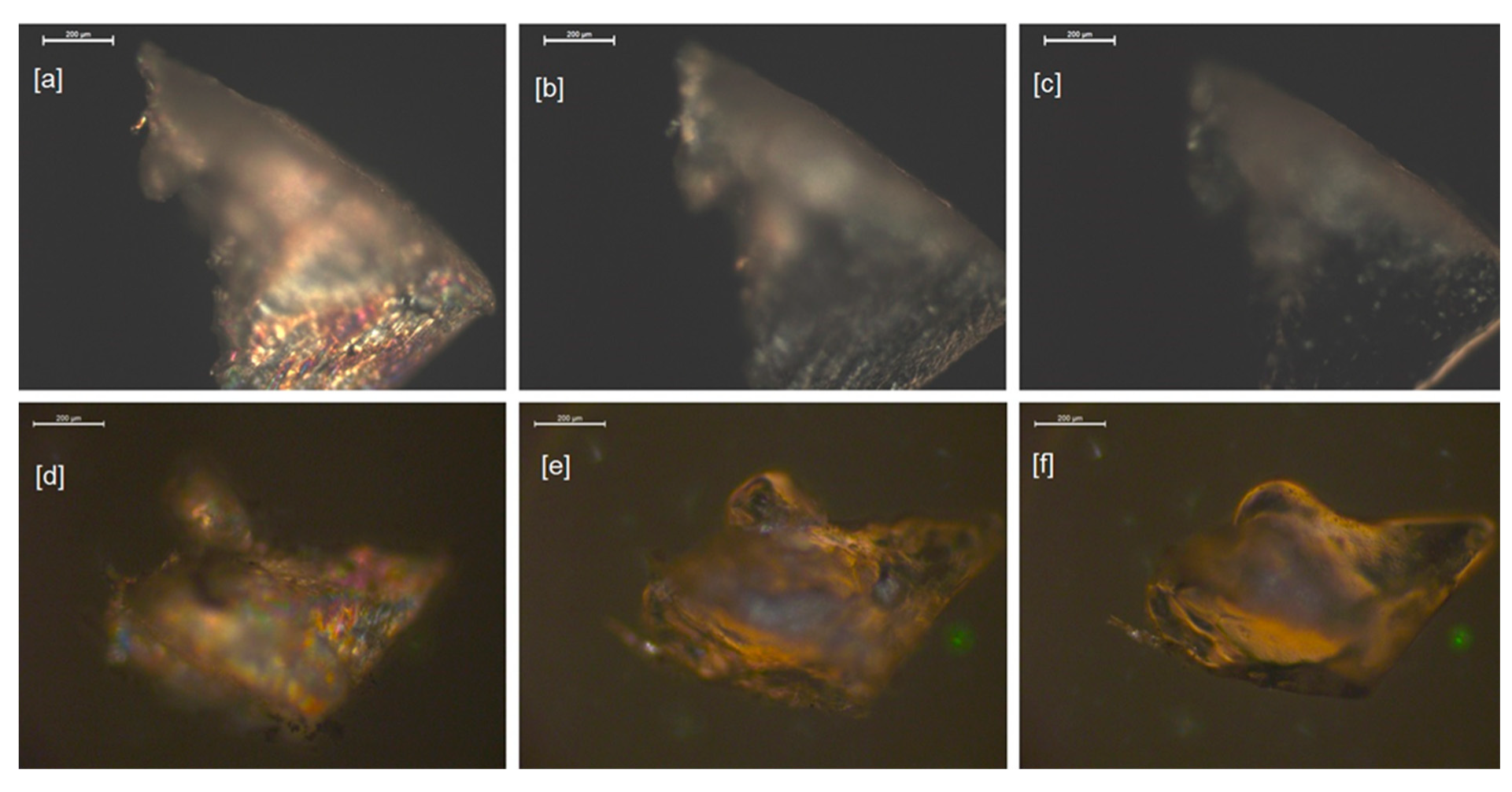 Molecules 24 04013 g005