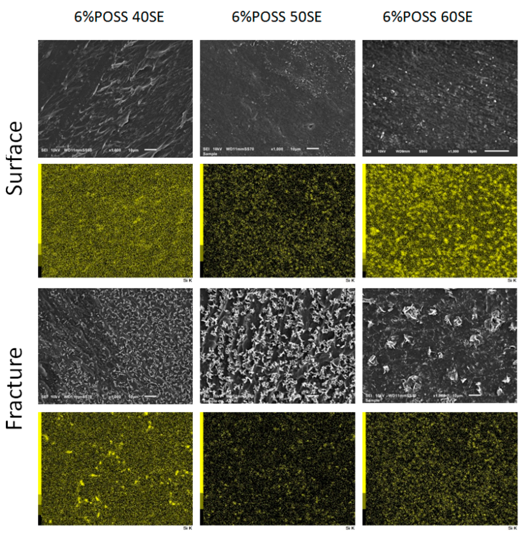 Molecules 24 04013 g009