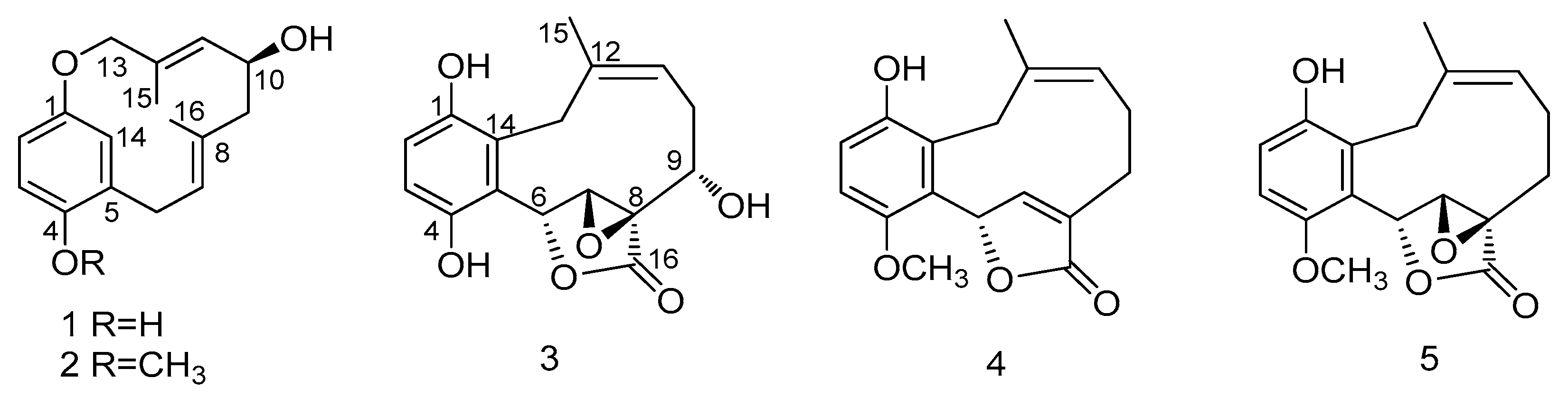 Molecules 24 04015 g001