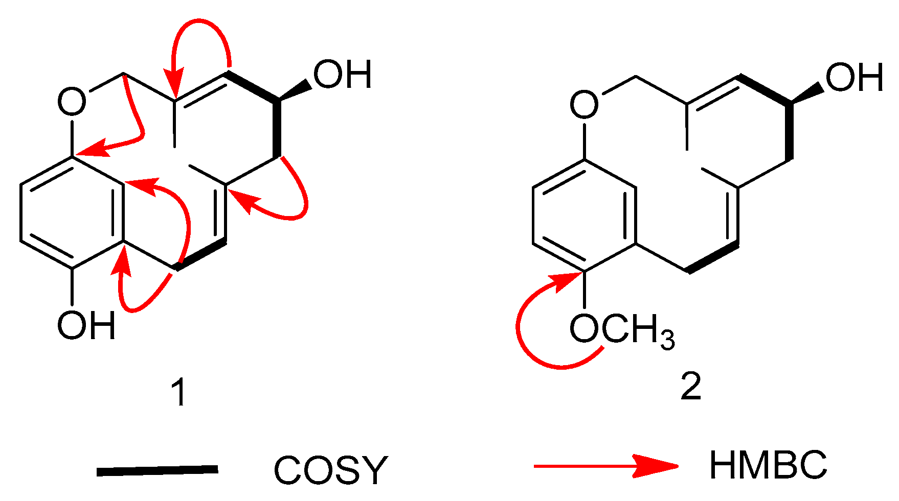 Molecules 24 04015 g002