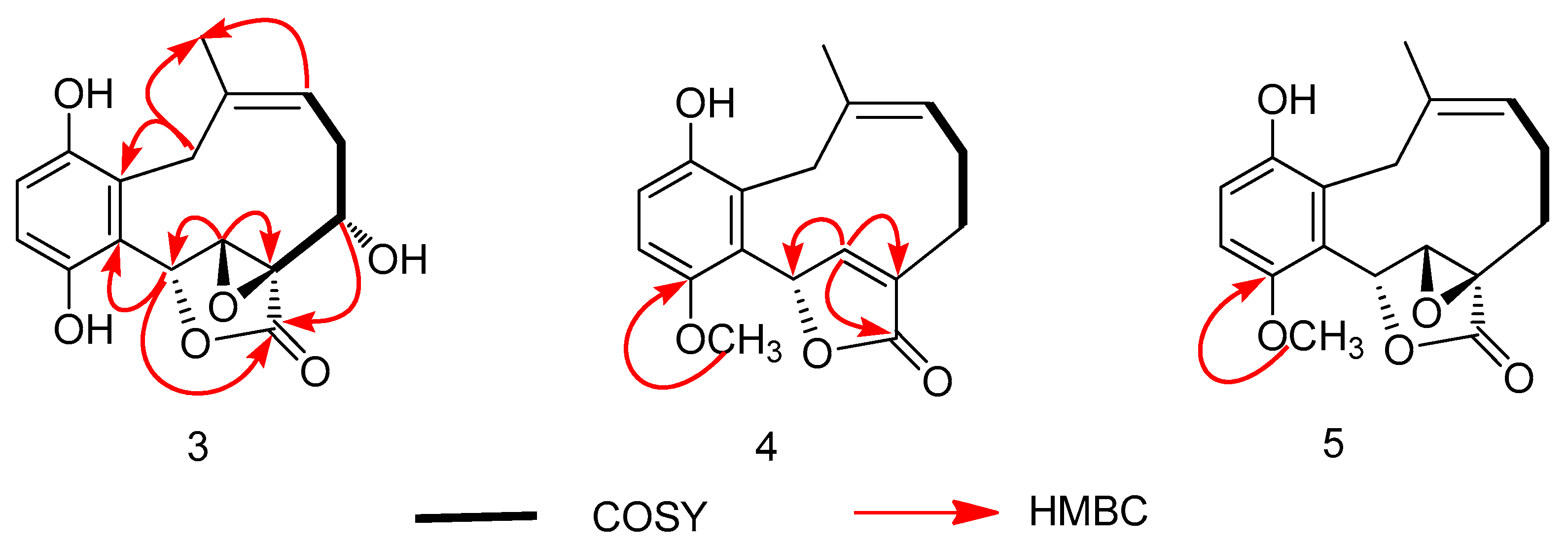 Molecules 24 04015 g005