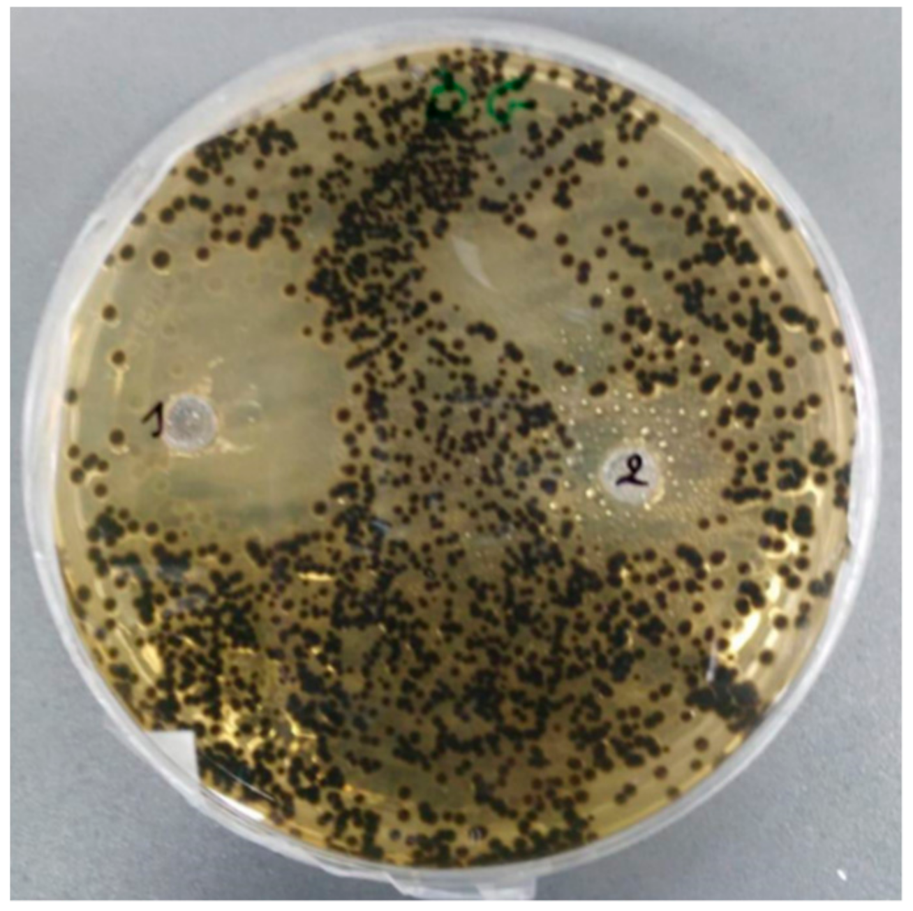 Molecules 24 04021 g002 Molecules 24 04021 g002