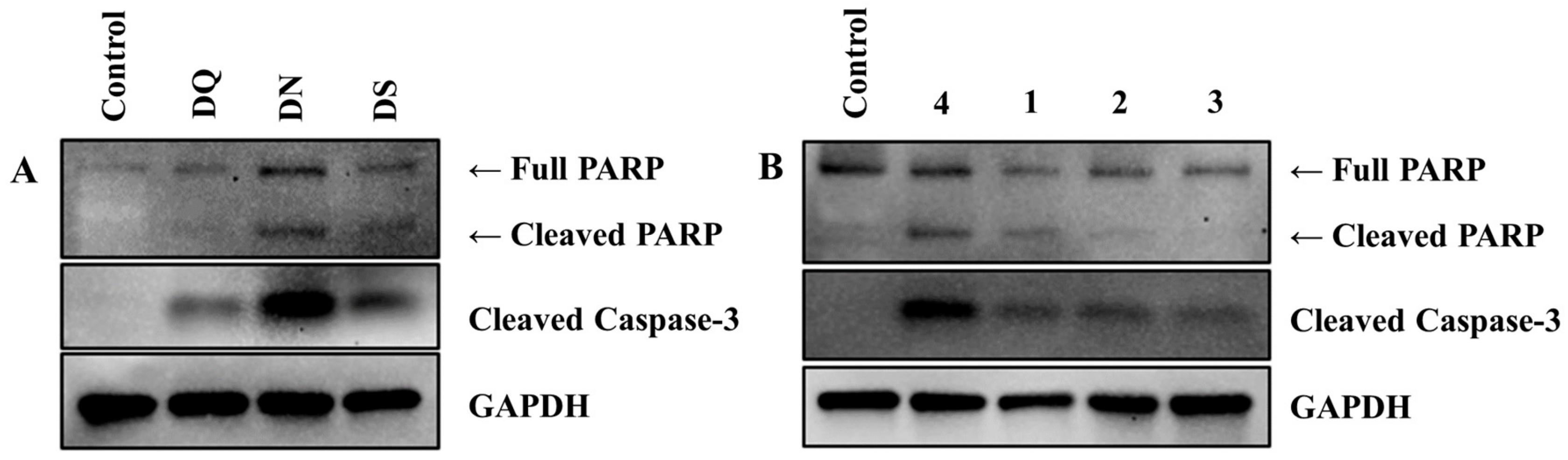Molecules 24 04022 g004