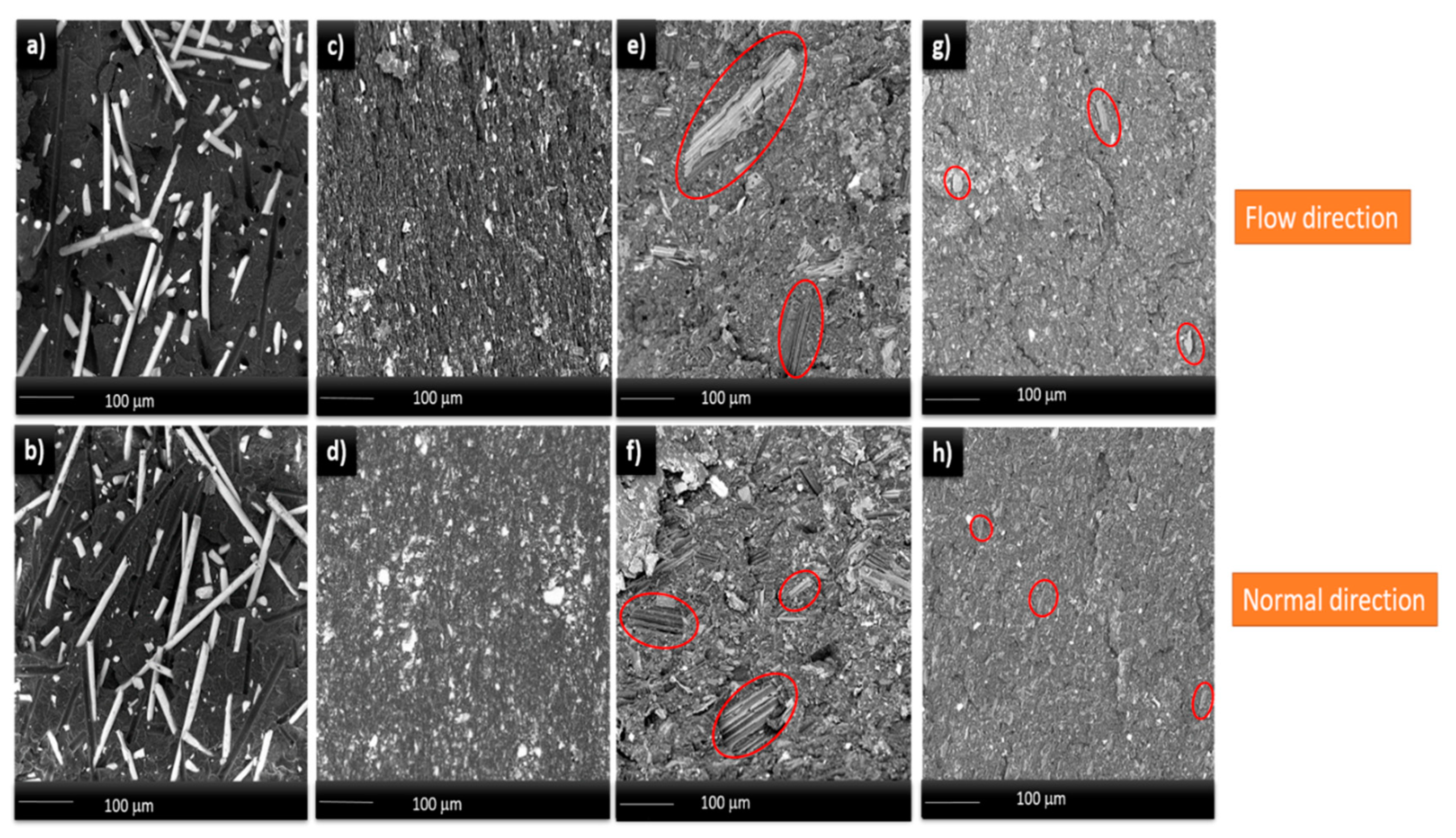 Molecules 24 04026 g001 Molecules 24 04026 g001