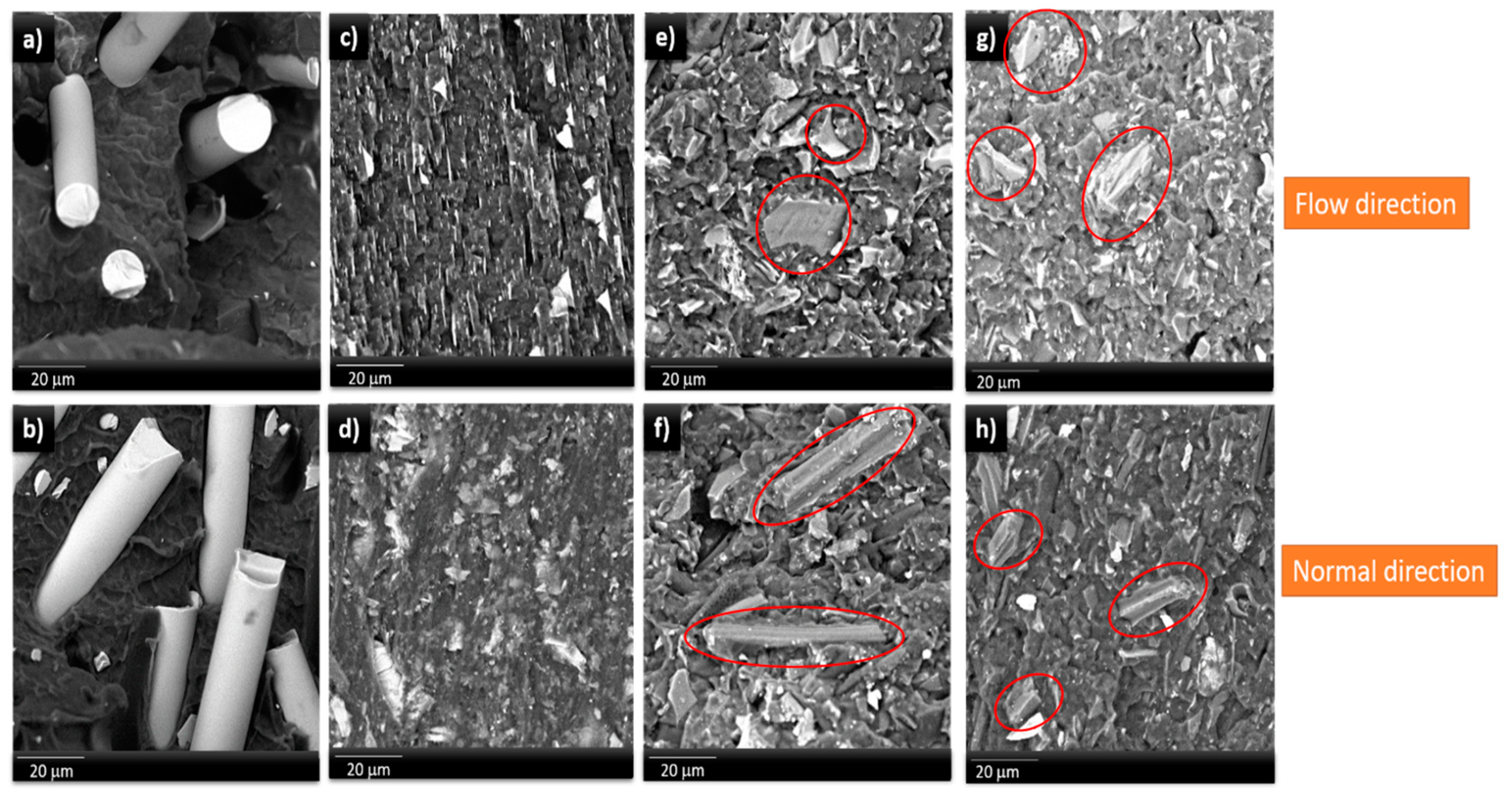 Molecules 24 04026 g002 Molecules 24 04026 g002