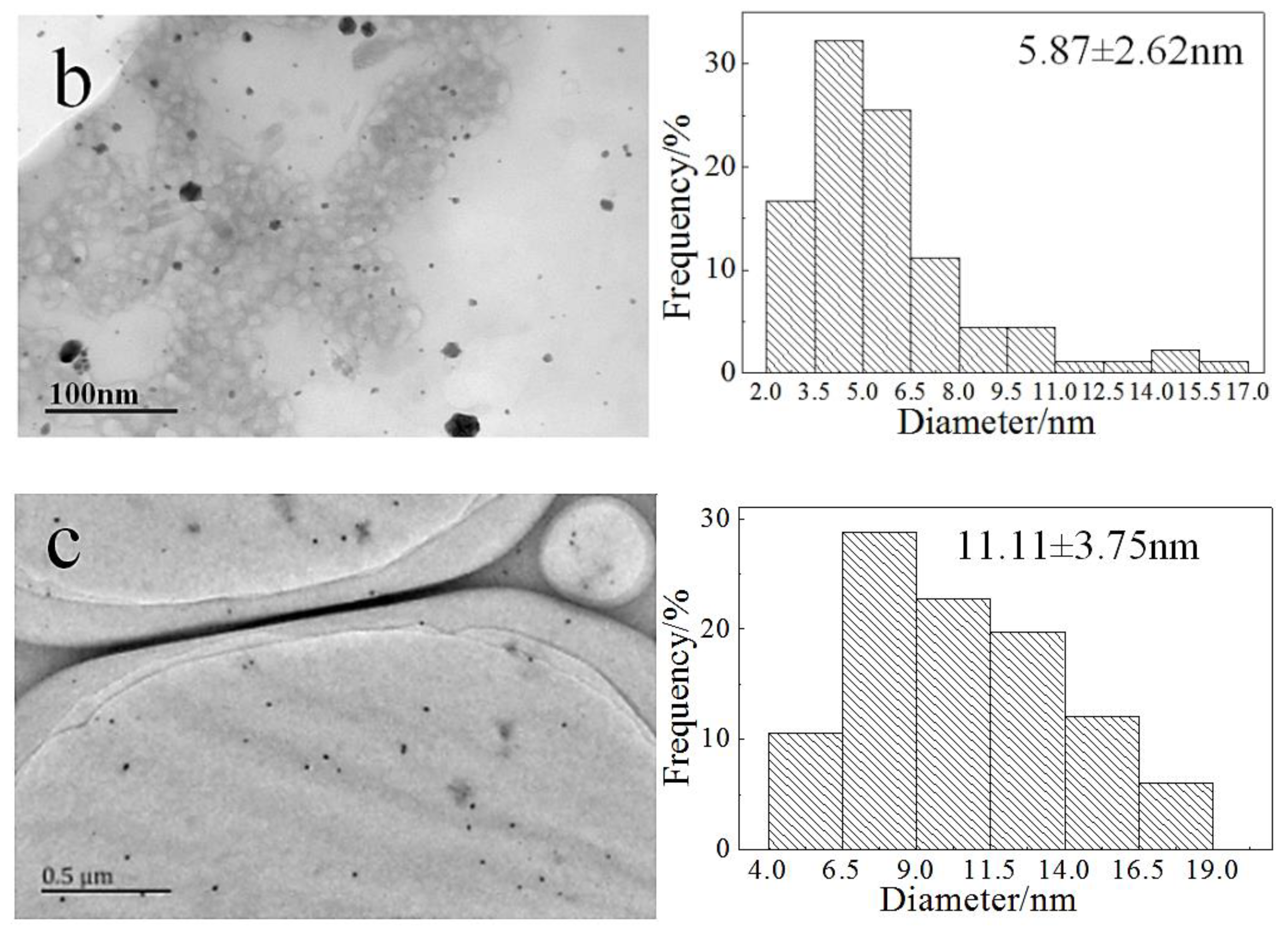 Molecules 24 04027 g002b