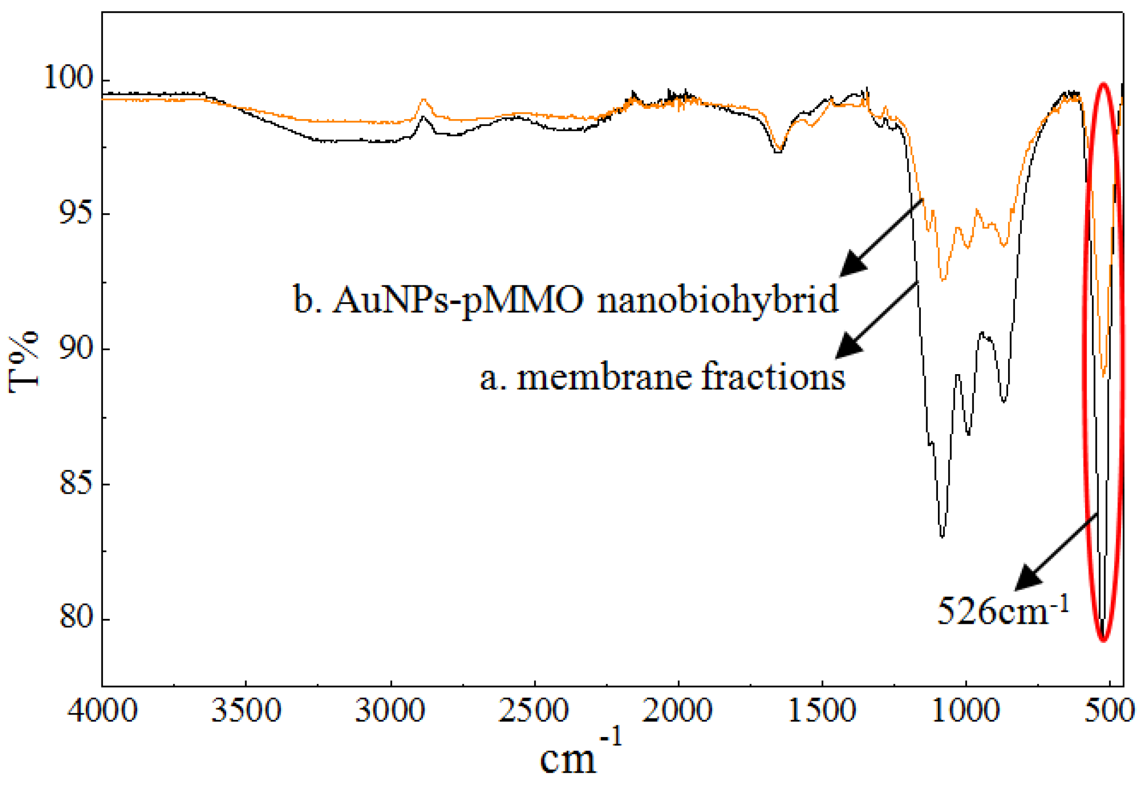 Molecules 24 04027 g004