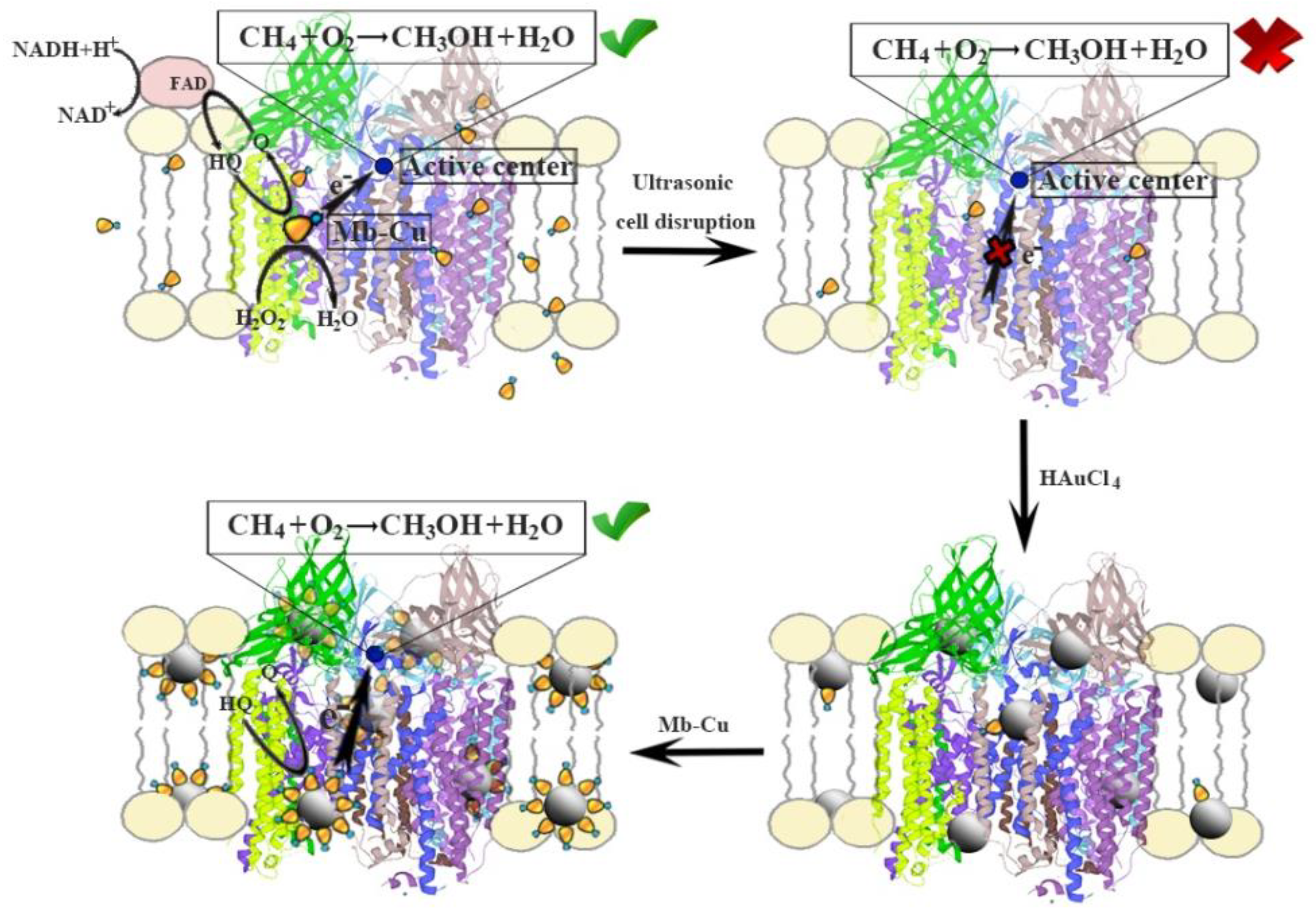 Molecules 24 04027 g010