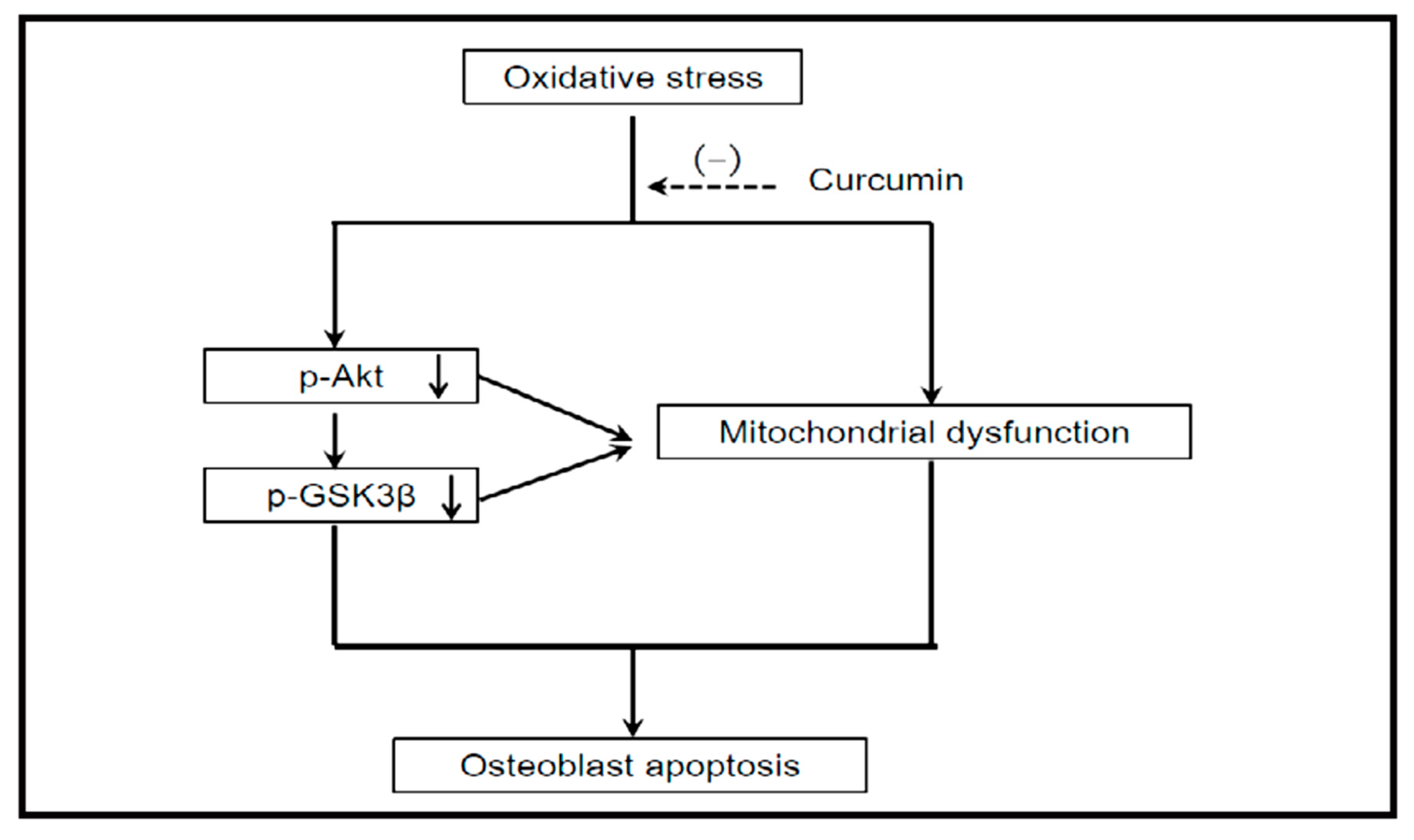 Molecules 24 04029 g002 Molecules 24 04029 g002