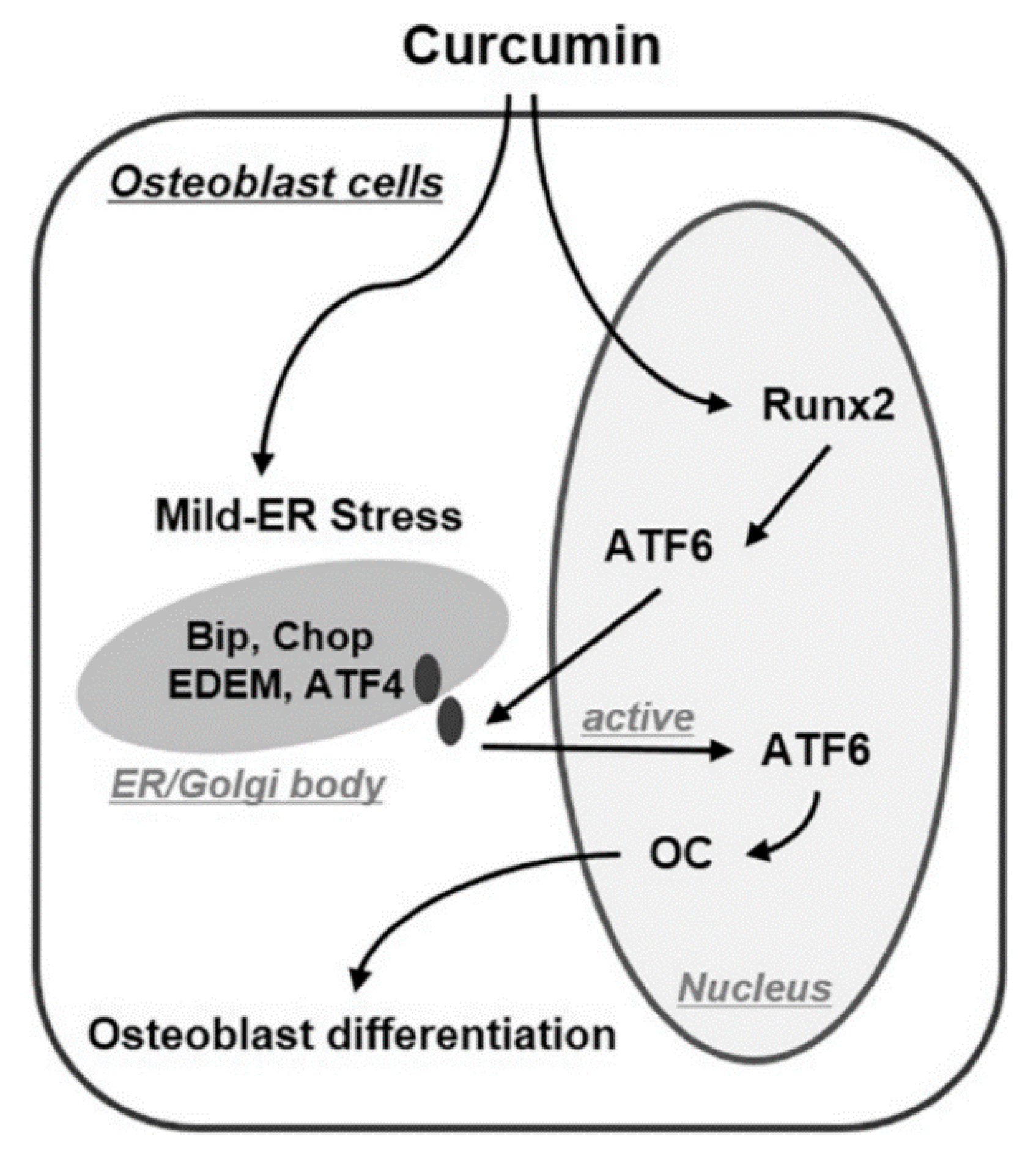 Molecules 24 04029 g003 Molecules 24 04029 g003
