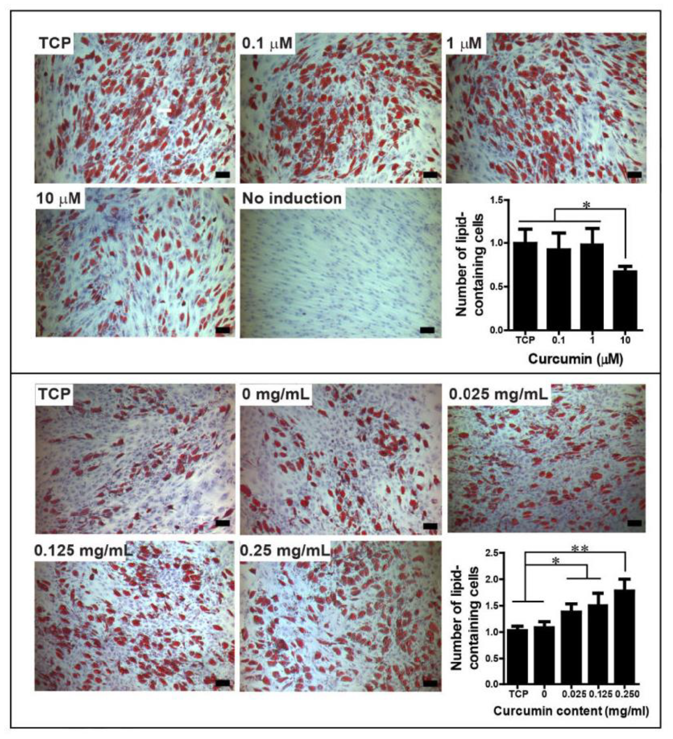 Molecules 24 04029 g005 Molecules 24 04029 g005
