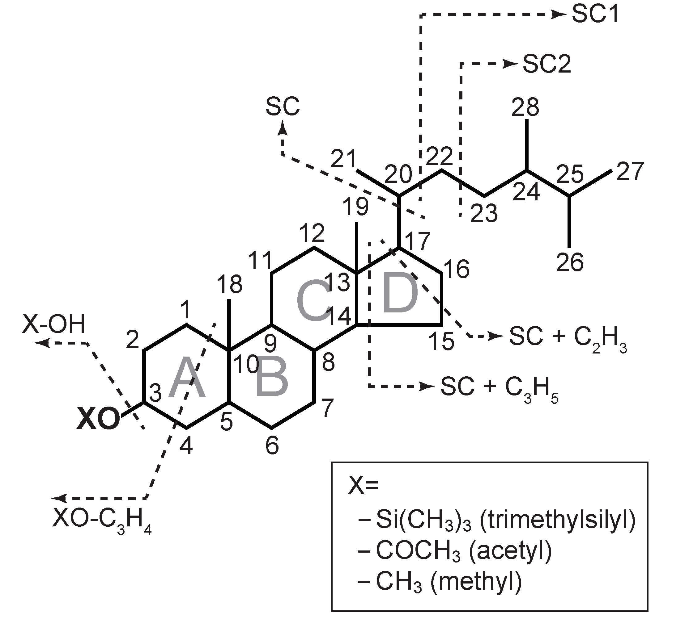 Molecules Free Full Text Methyl Ether Derivatized Sterols And Coprostanol Produced Via Thermochemolysis Using Tetramethylammonium Hydroxide Tmah Html