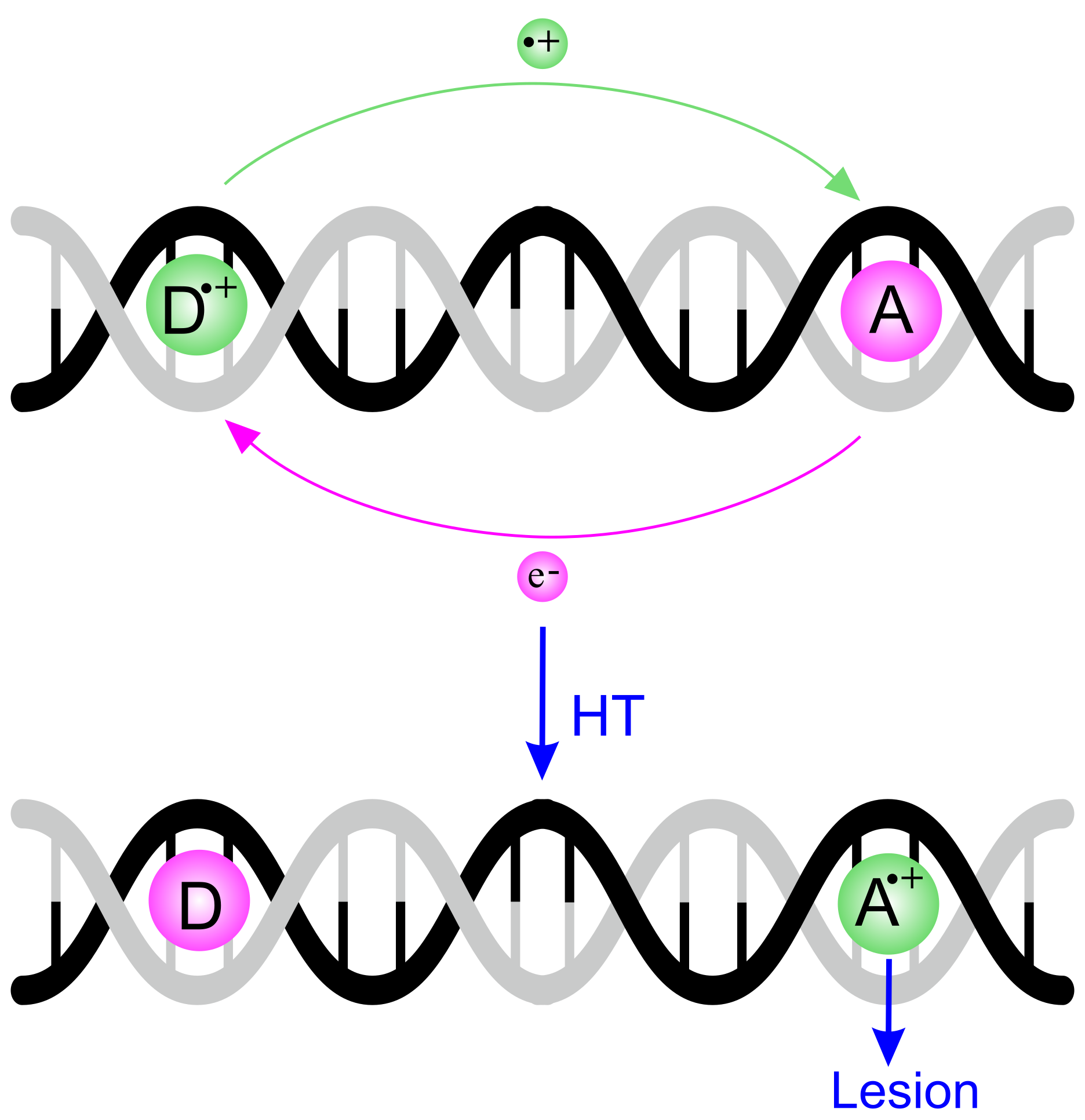 Molecules 24 04044 g001