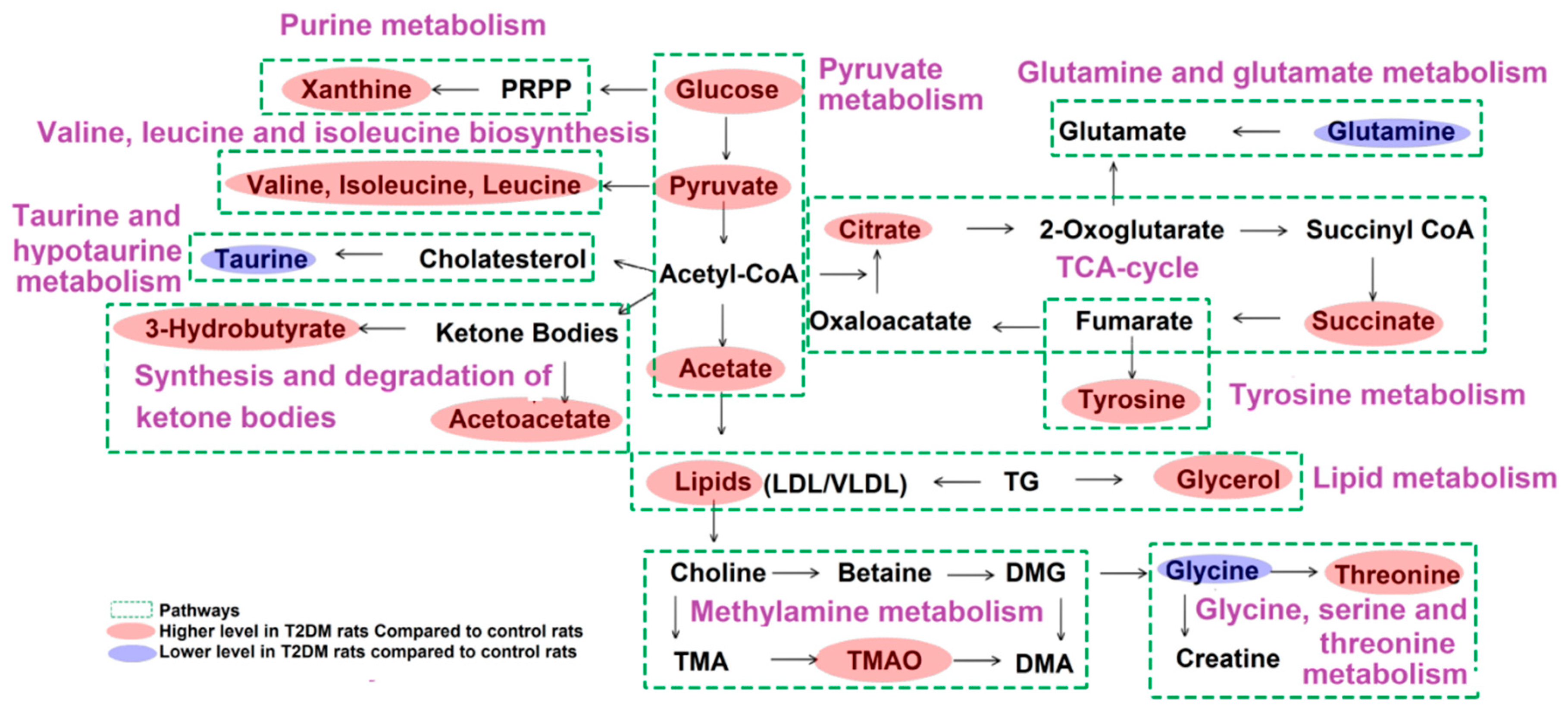 Molecules 24 04050 g006 Molecules 24 04050 g006