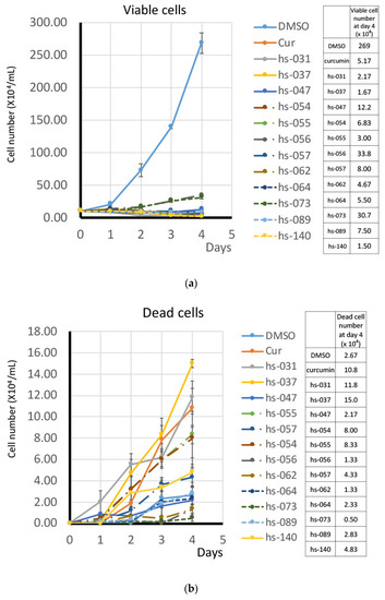 Curcumin Derivatives Verify the Essentiality of ROS Upregulation