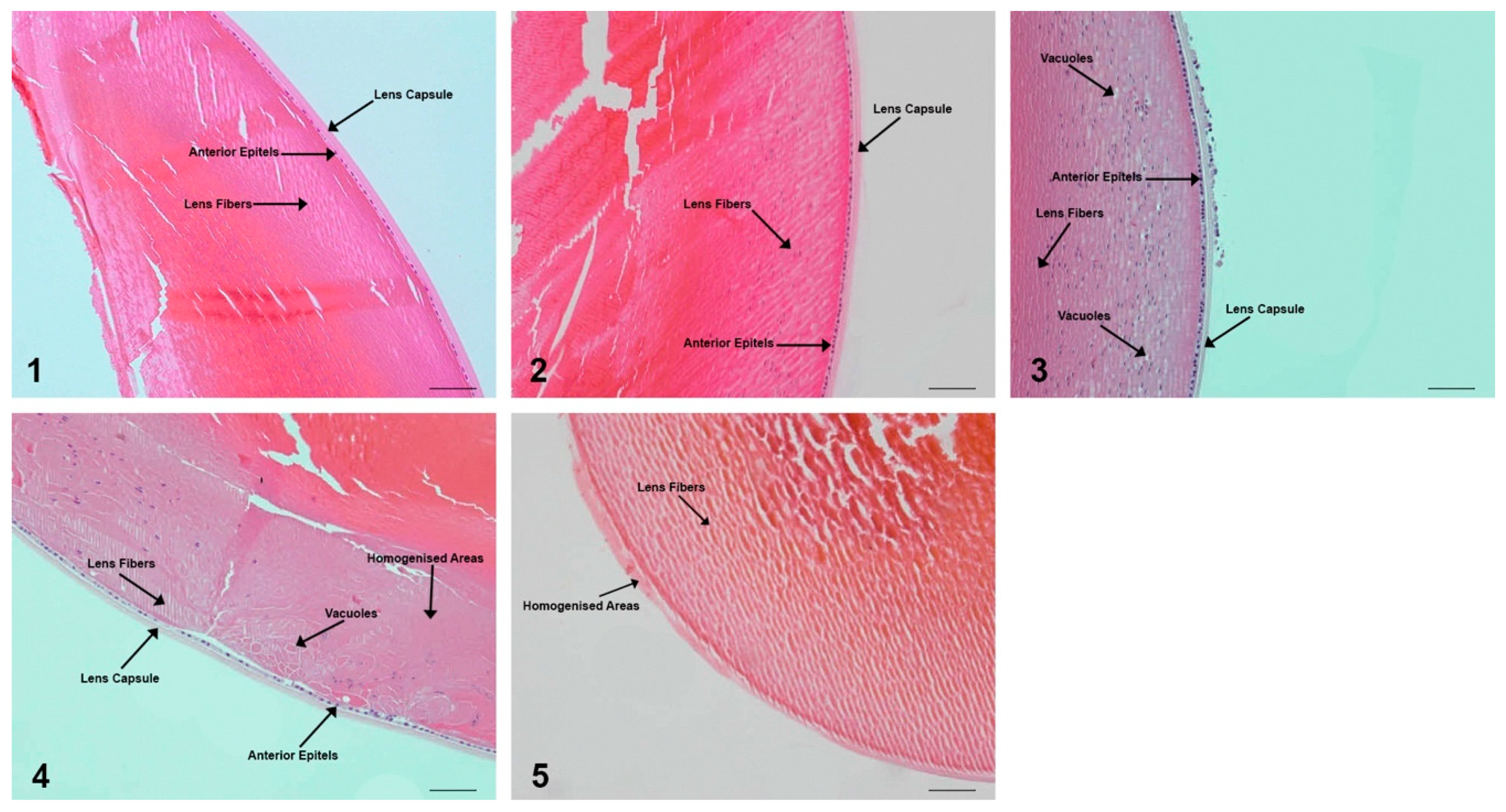 Molecules 24 04069 g003 Molecules 24 04069 g003