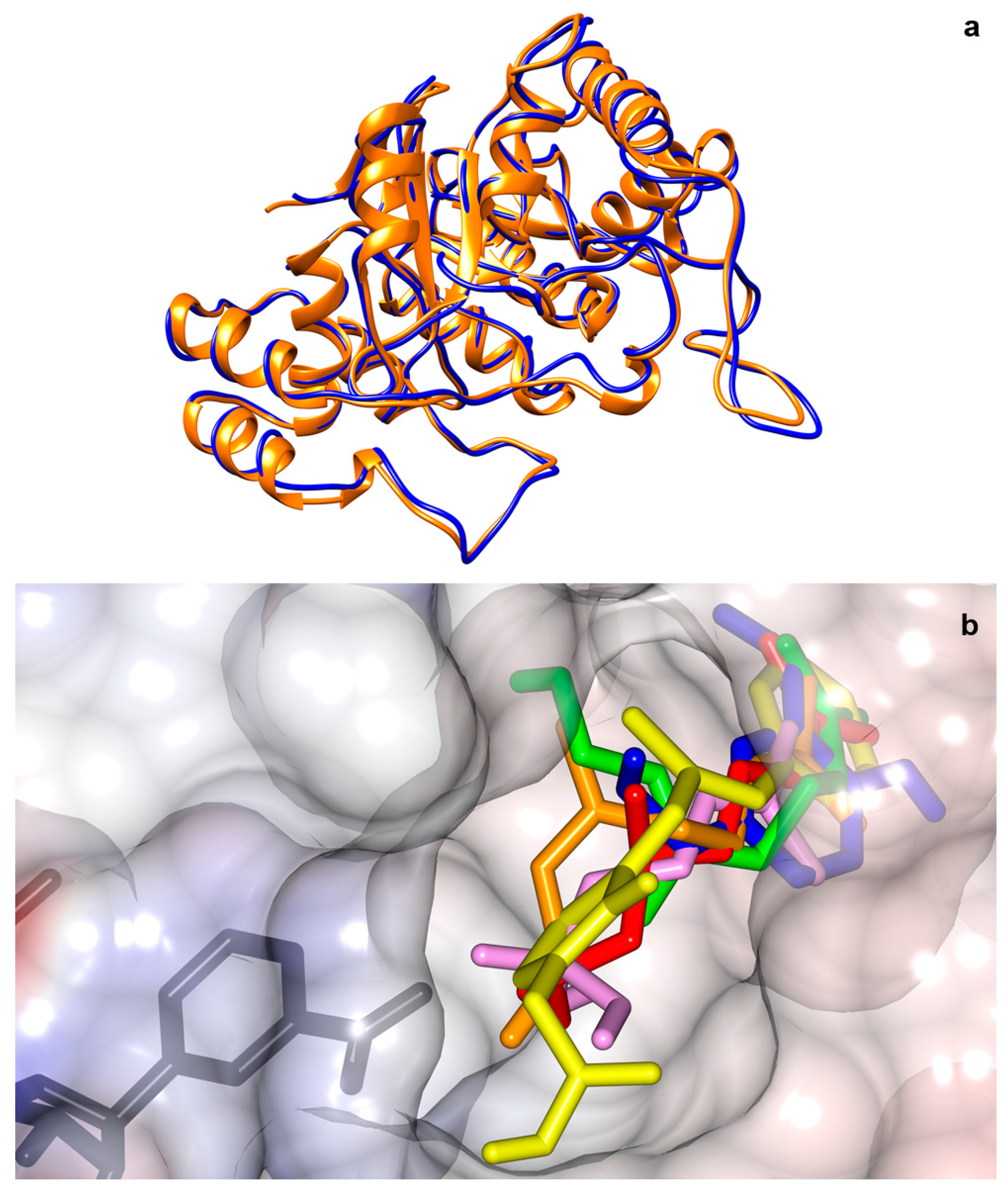 Molecules 24 04069 g004 Molecules 24 04069 g004