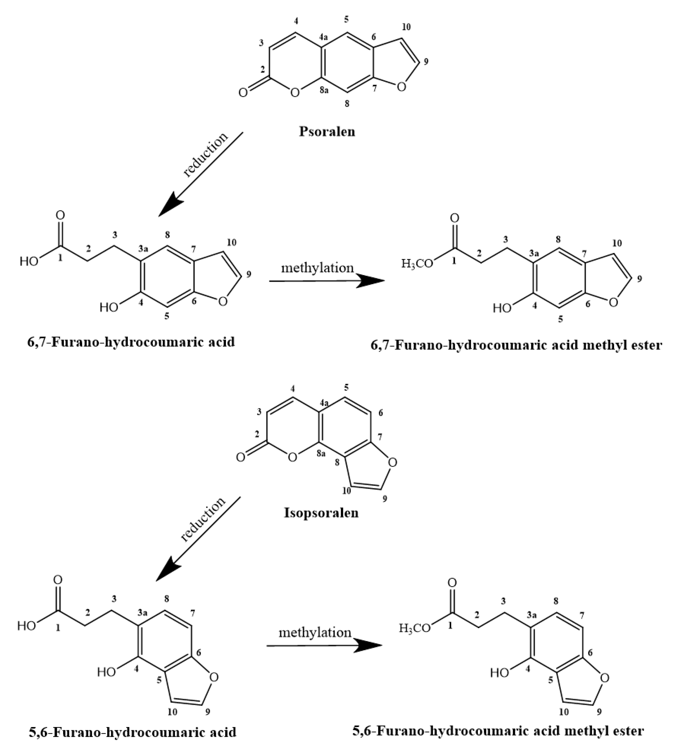 Molecules 24 04080 g002 Molecules 24 04080 g002