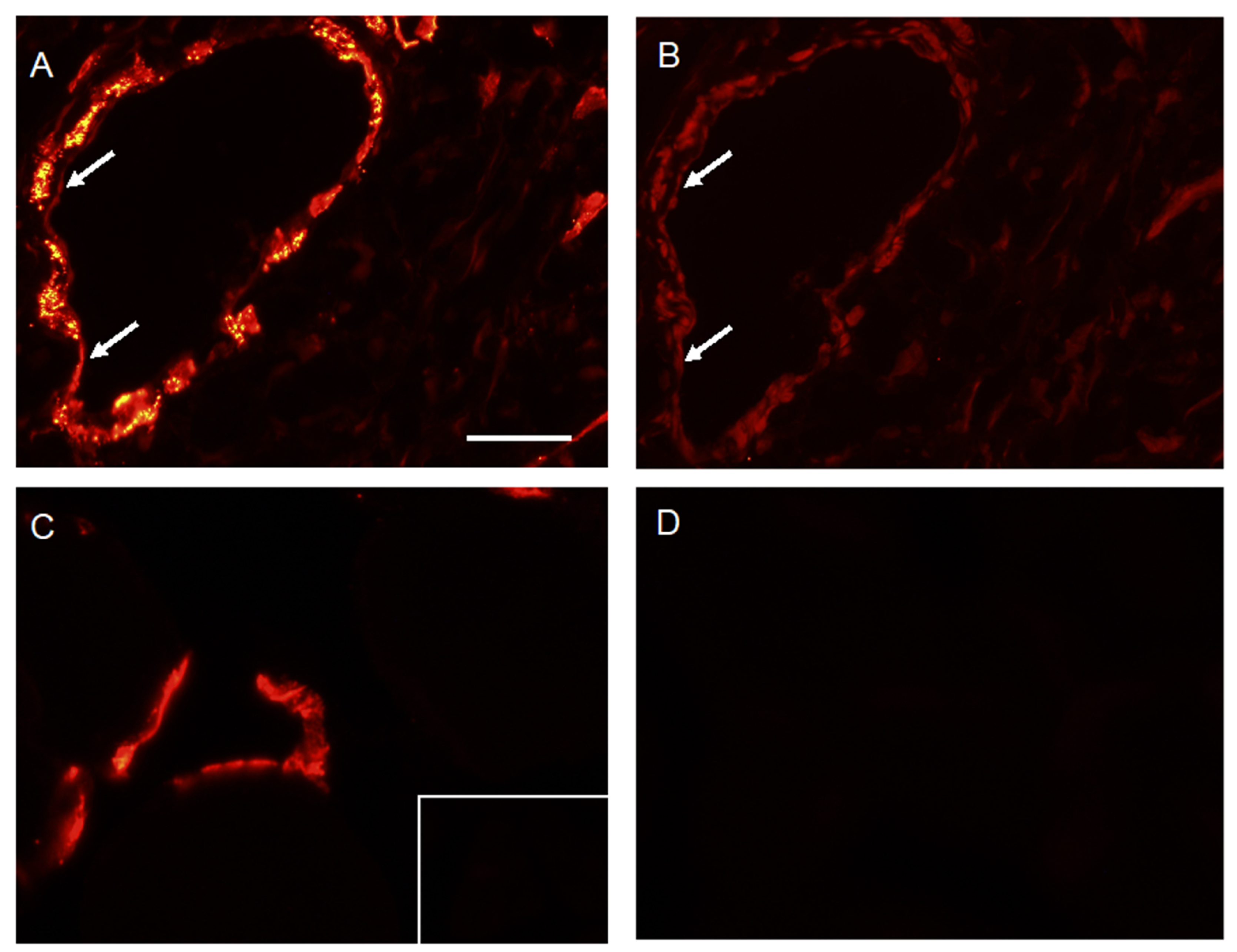 Molecules 24 04094 g003 550