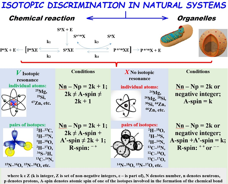 Molecules Free Full Text Possible Mechanisms Of Biological Effects Observed In Living Systems During 2h 1h Isotope Fractionation And Deuterium Interactions With Other Biogenic Isotopes Html Molecules Free Full Text Possible Mechanisms Of Biological Effects Observed In Living Systems During 2h 1h Isotope Fractionation And Deuterium Interactions With Other Biogenic Isotopes Html