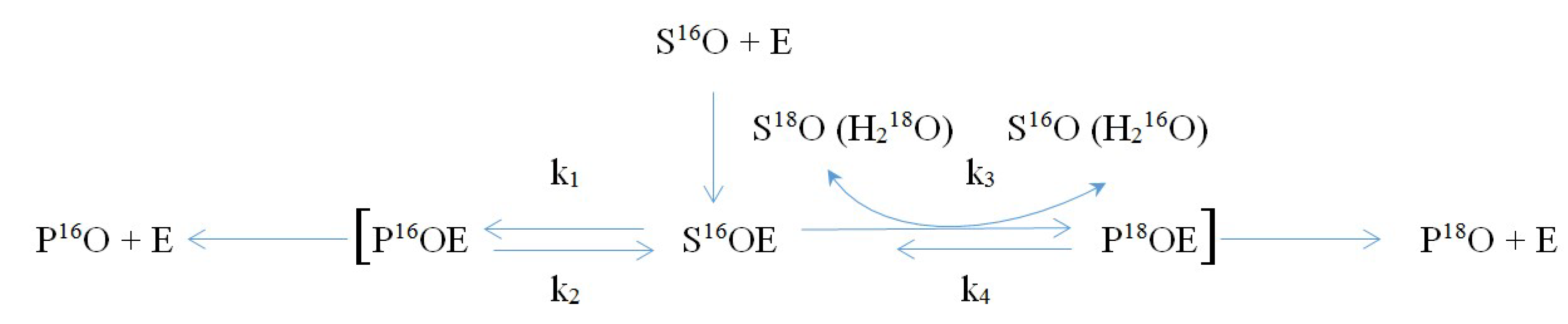 Molecules Free Full Text Possible Mechanisms Of Biological Effects Observed In Living Systems During 2h 1h Isotope Fractionation And Deuterium Interactions With Other Biogenic Isotopes Html