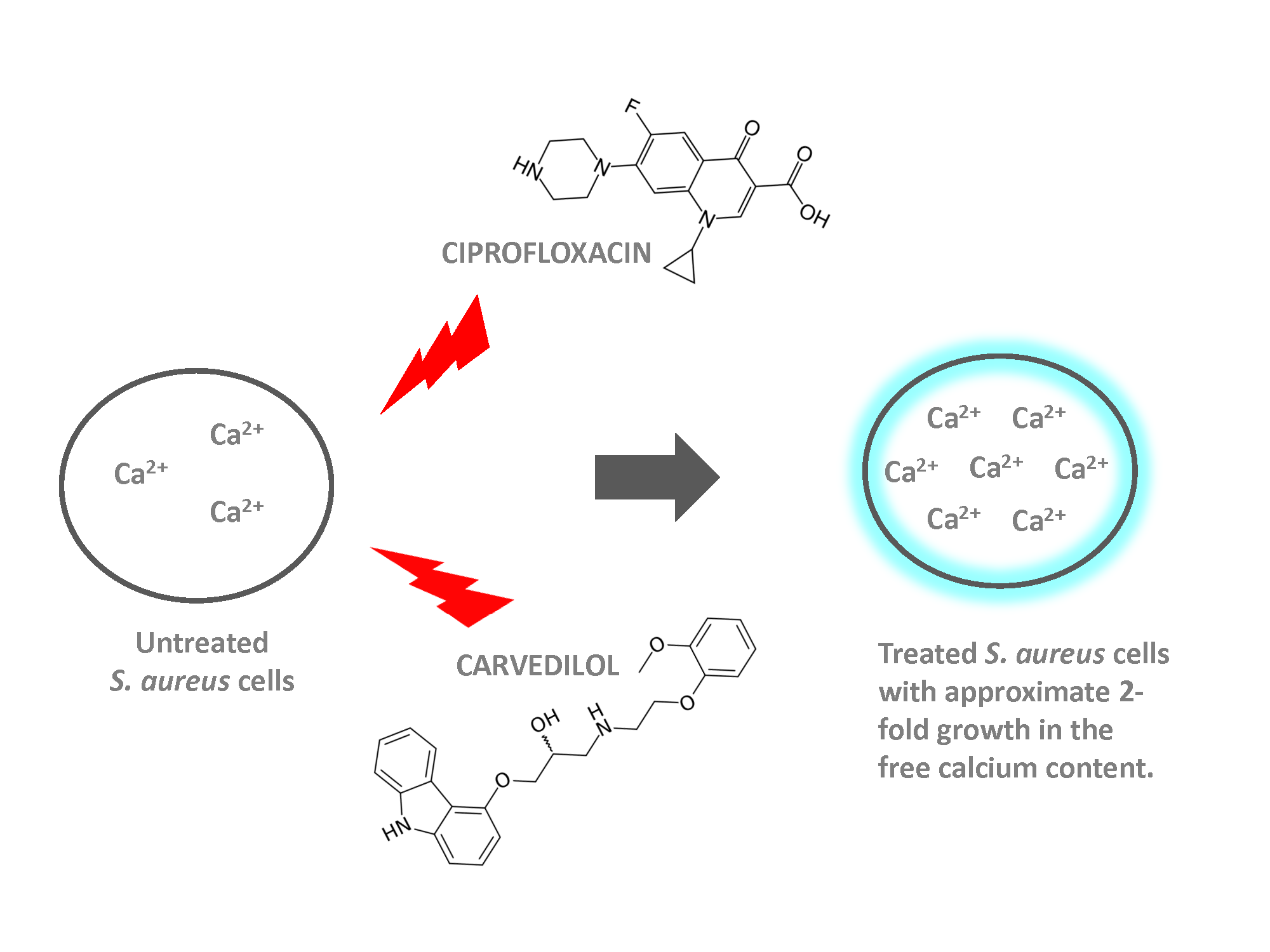 Molecules Free Full Text The Synergy Of Ciprofloxacin And