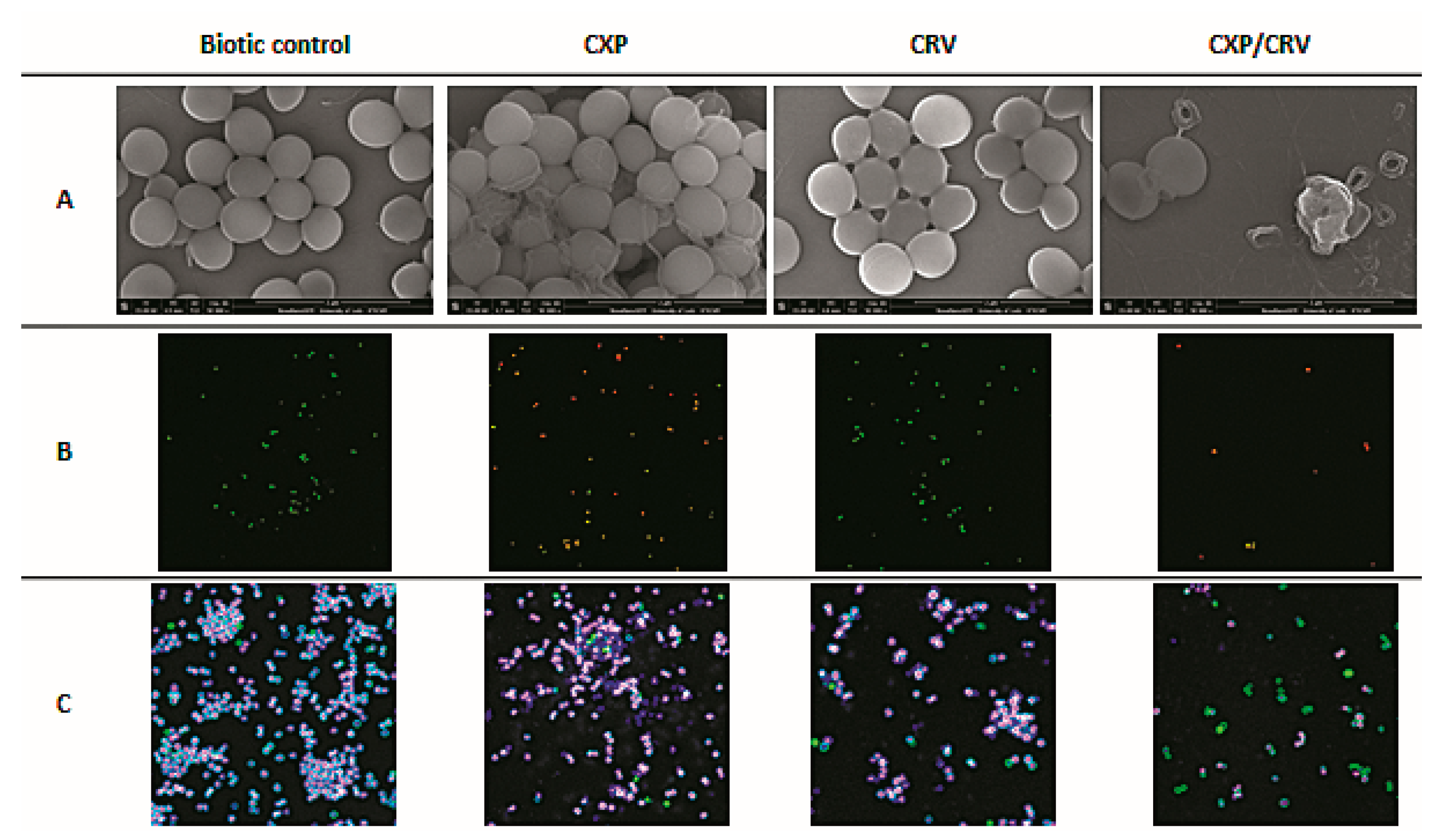 Molecules 24 04104 g005
