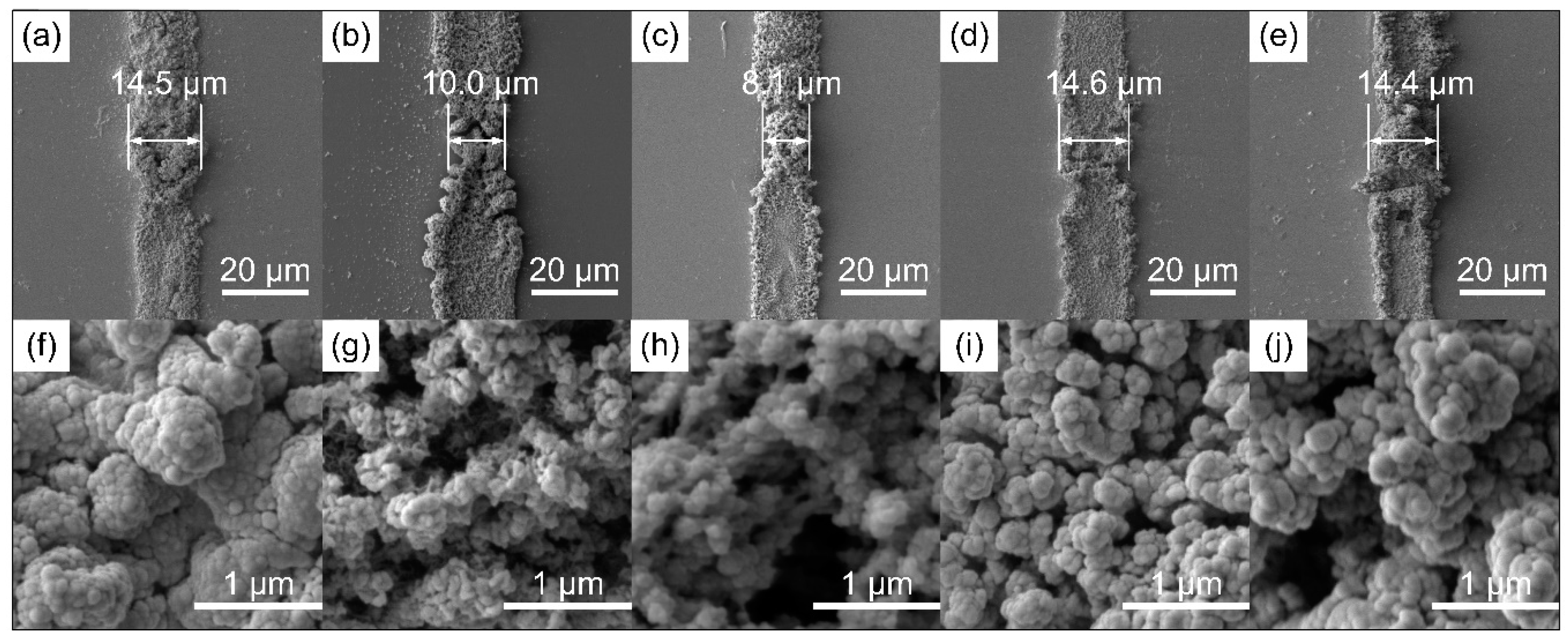 Molecules 24 04105 g001