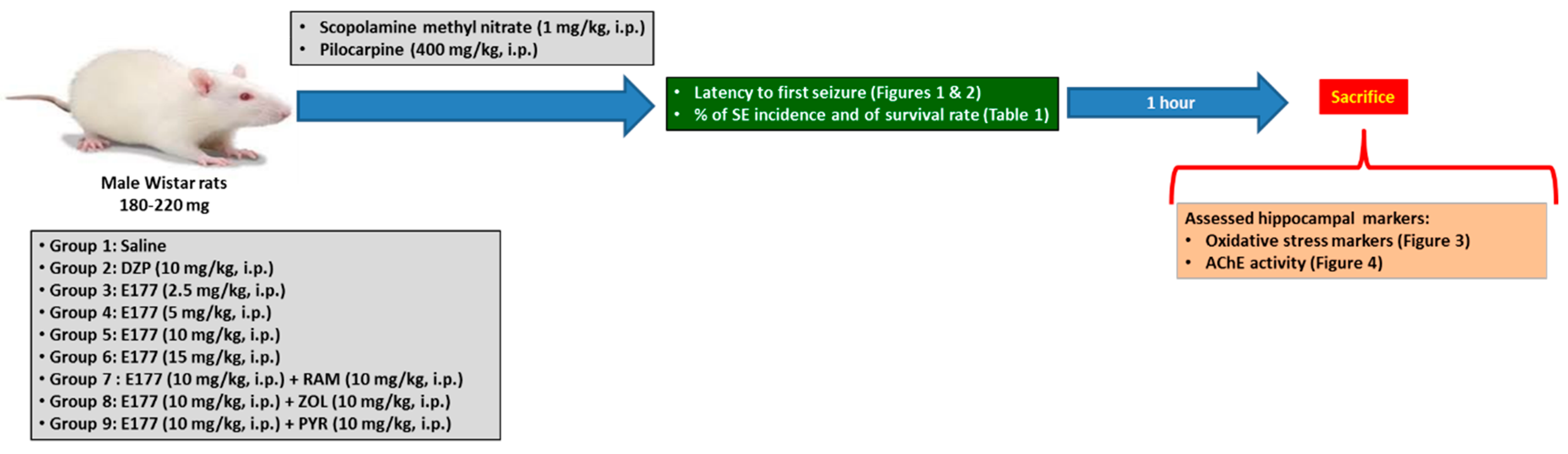 Molecules 24 04106 g005