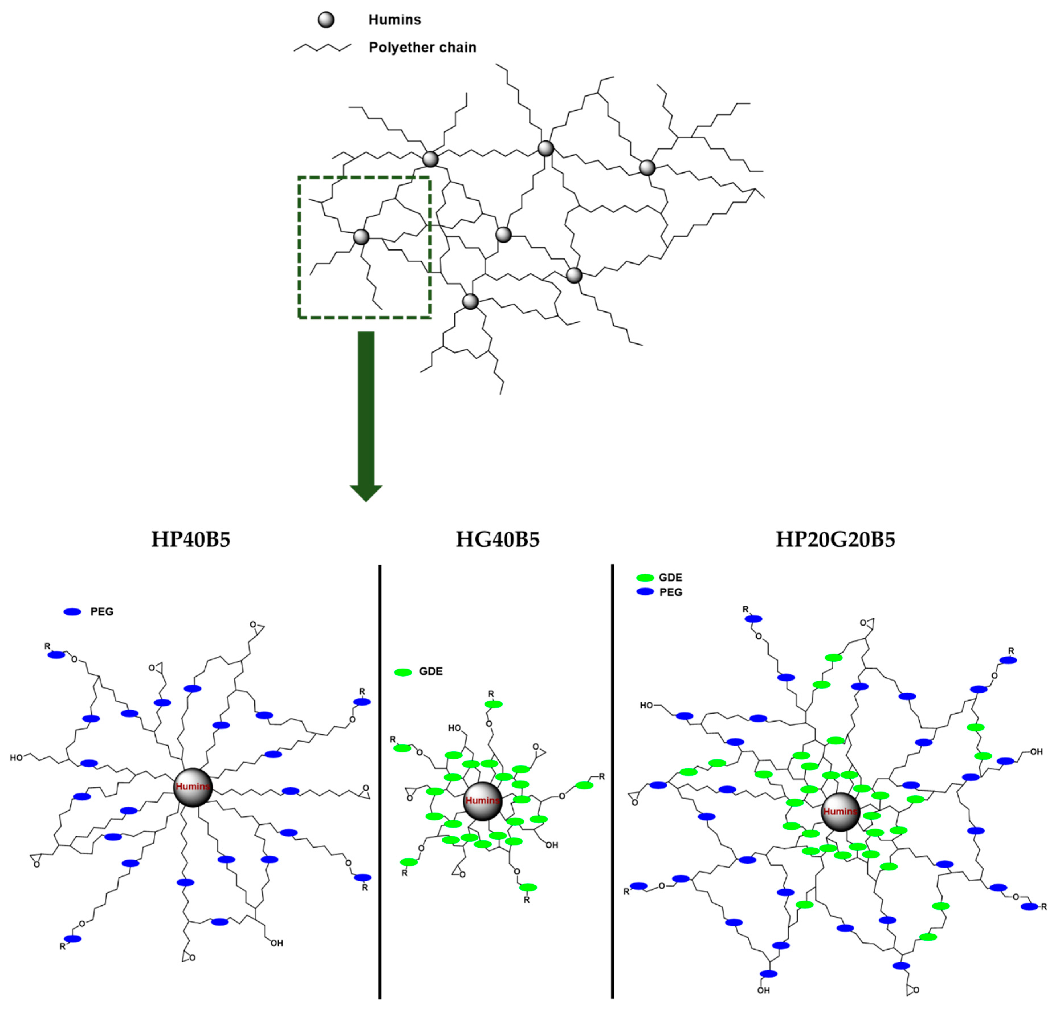 Molecules 24 04110 g007