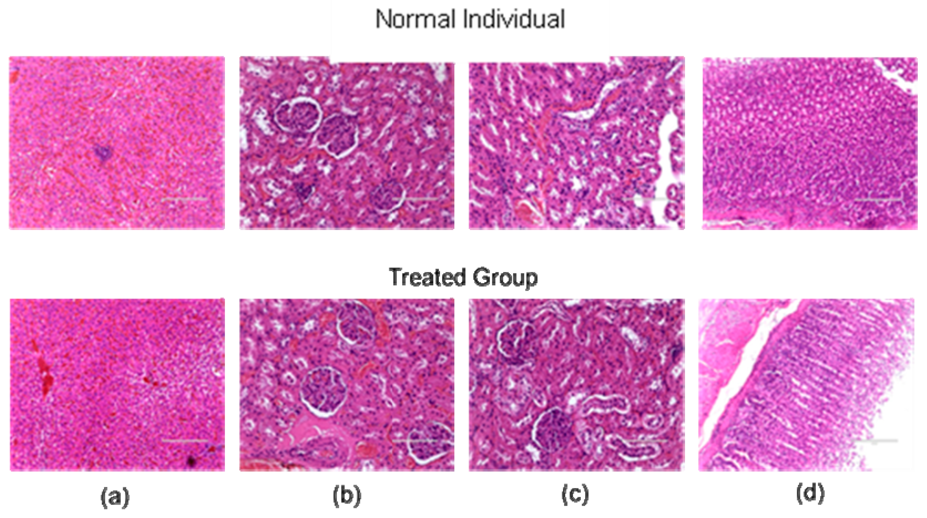 Molecules 24 04112 g001 Molecules 24 04112 g001