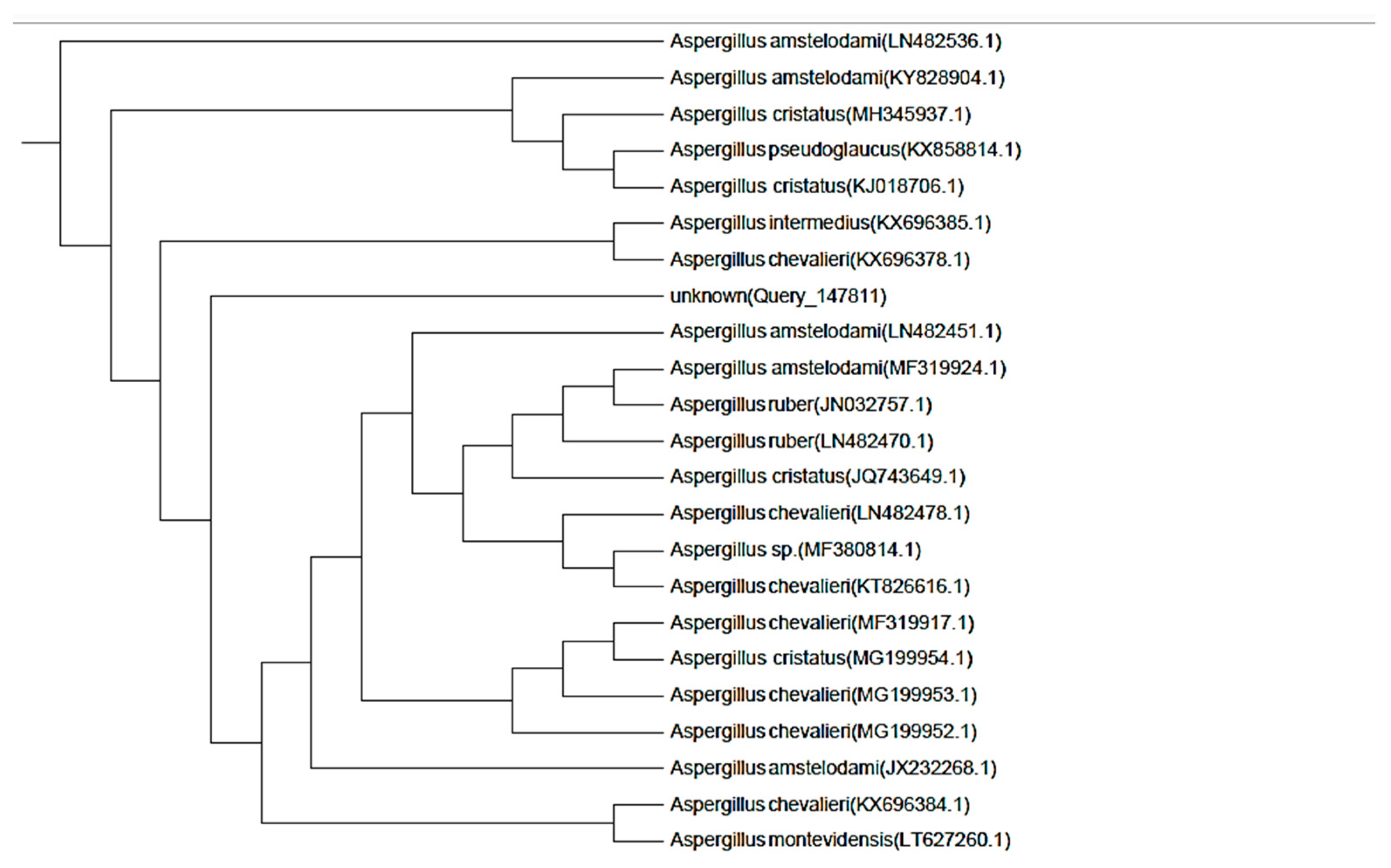 Molecules 24 04118 g002 Molecules 24 04118 g002