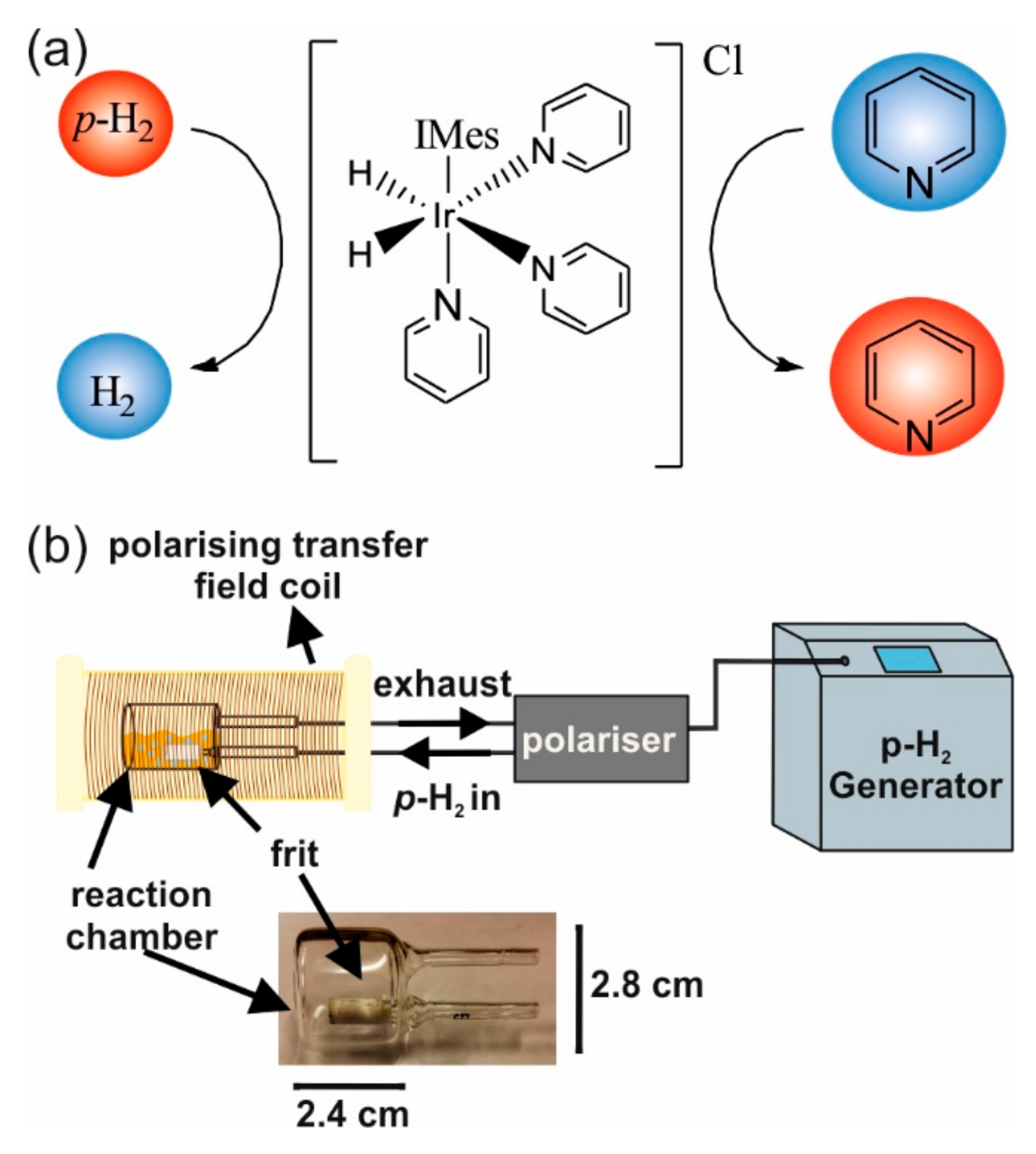 Molecules 24 04126 g001