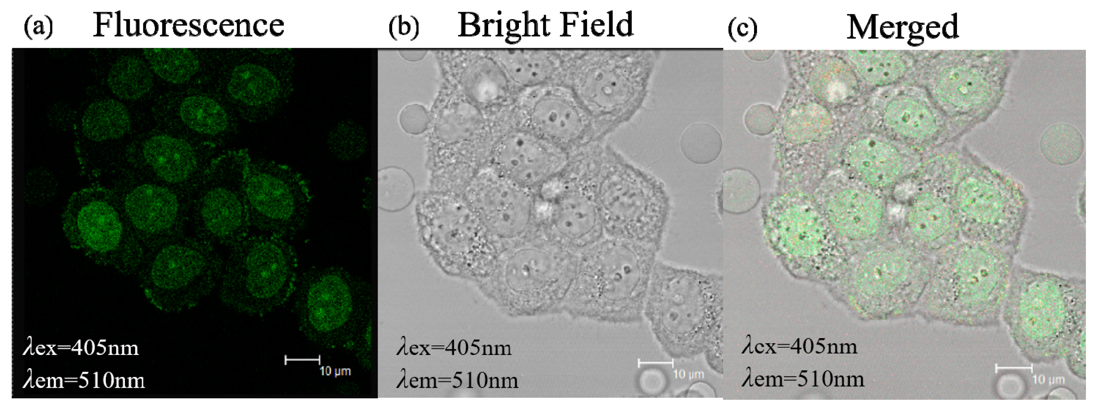 Molecules 24 04136 g008 Molecules 24 04136 g008