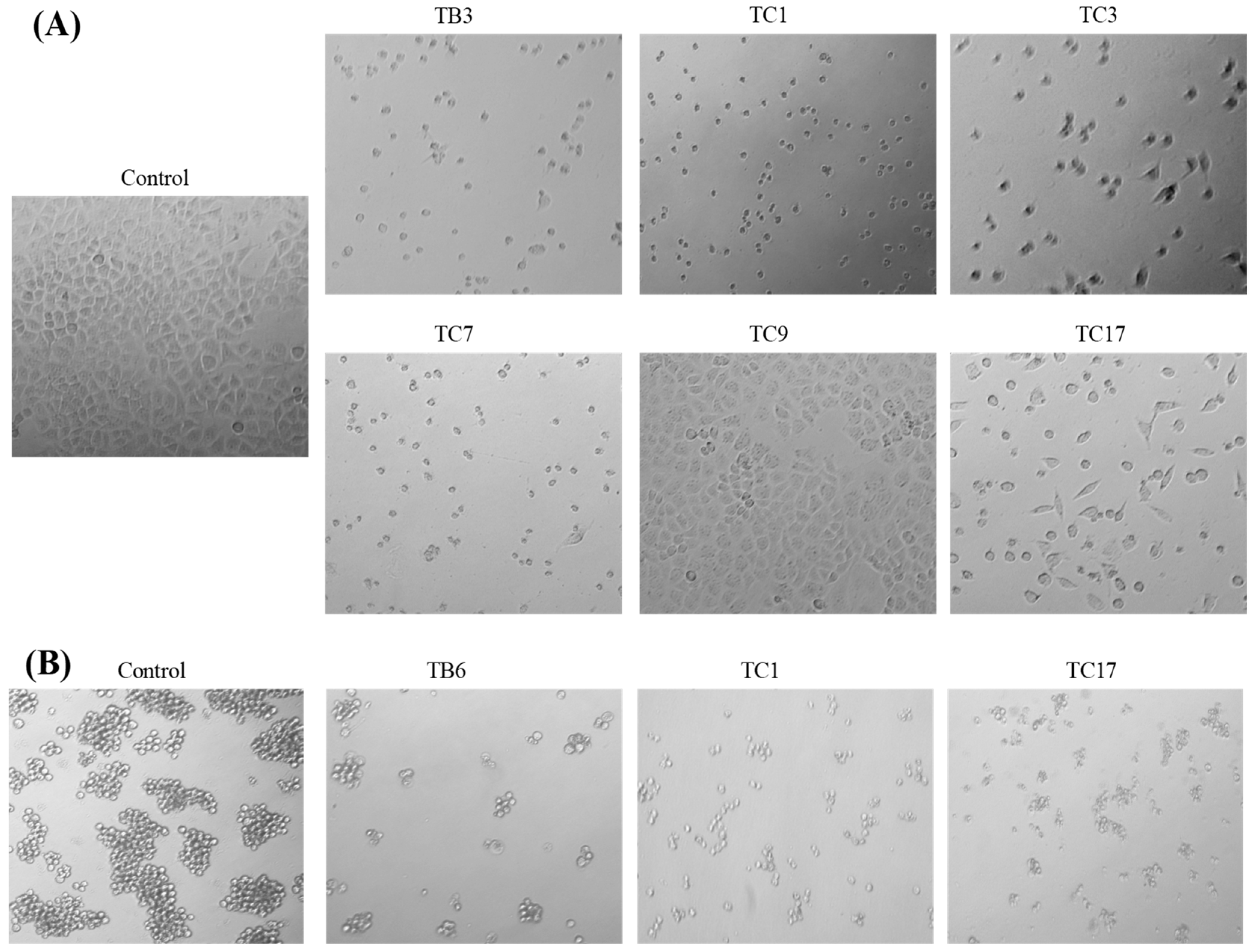 Molecules 24 04138 g003a 550