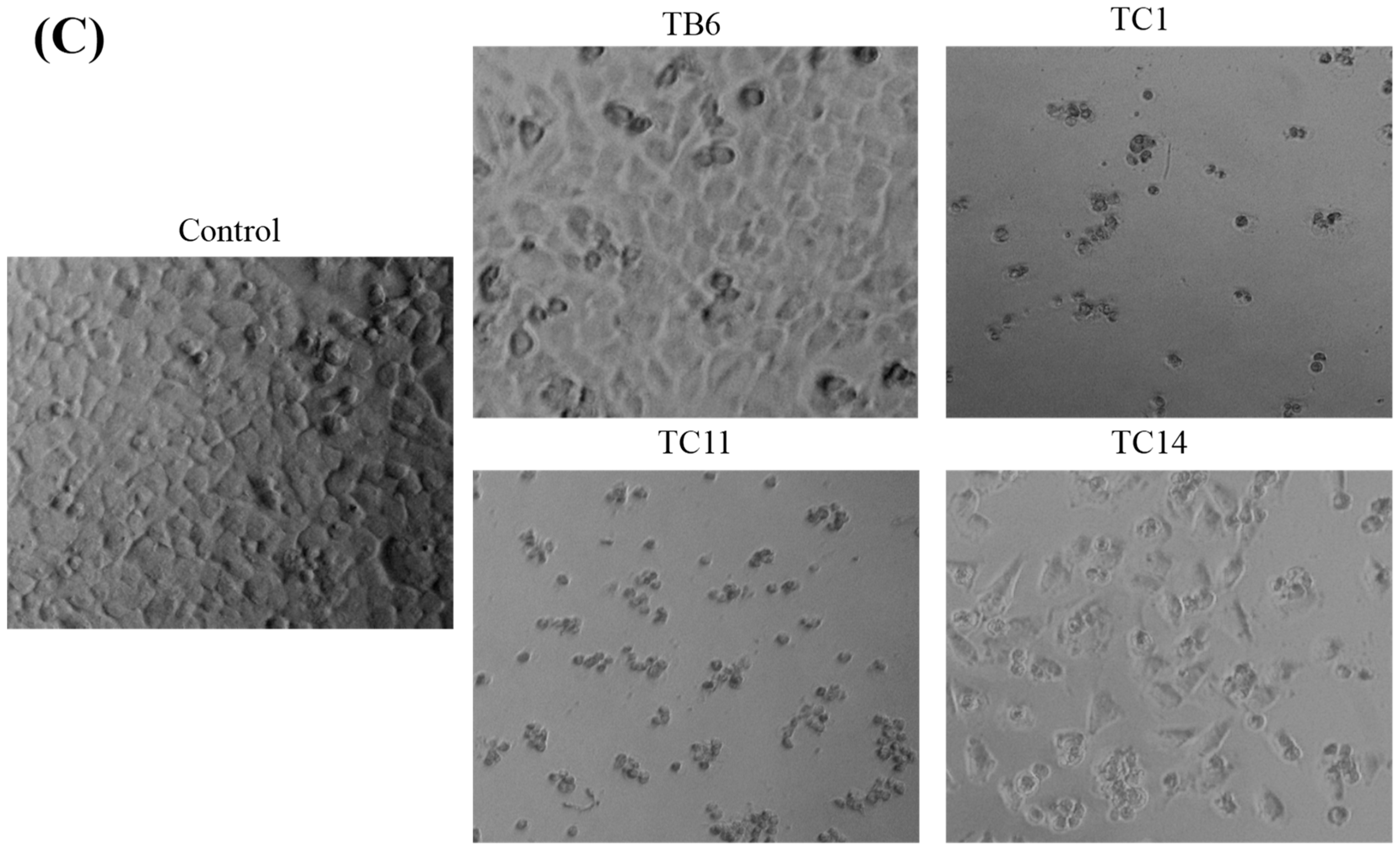 Molecules 24 04138 g003b 550