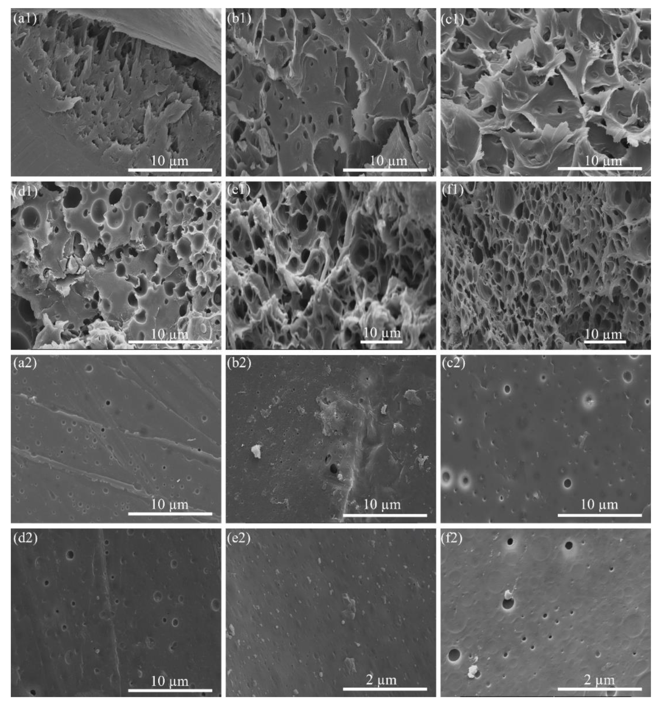 Molecules 24 04142 g003 Molecules 24 04142 g003