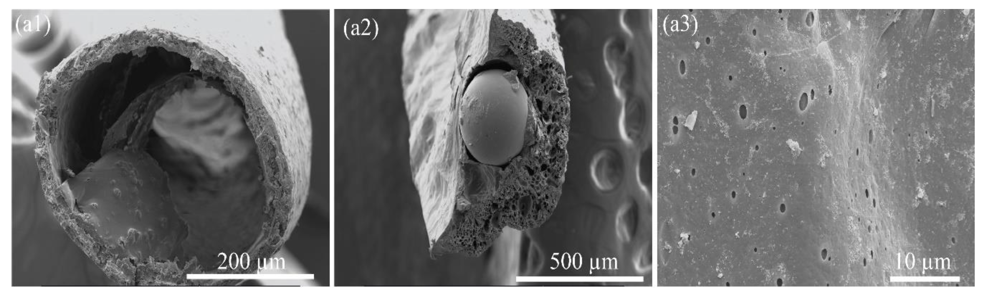 Molecules 24 04142 g005 Molecules 24 04142 g005