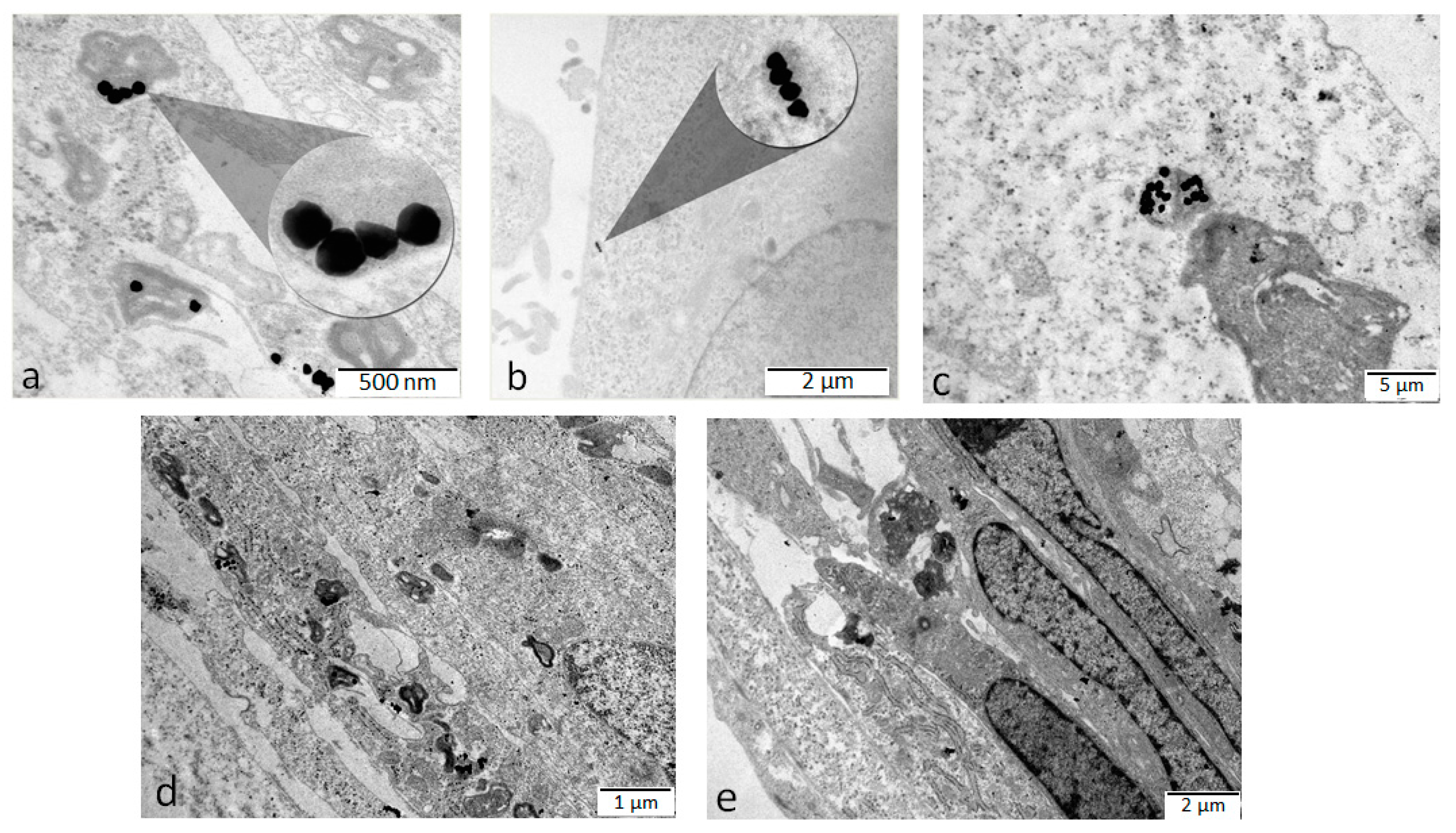 Molecules 24 04145 g006