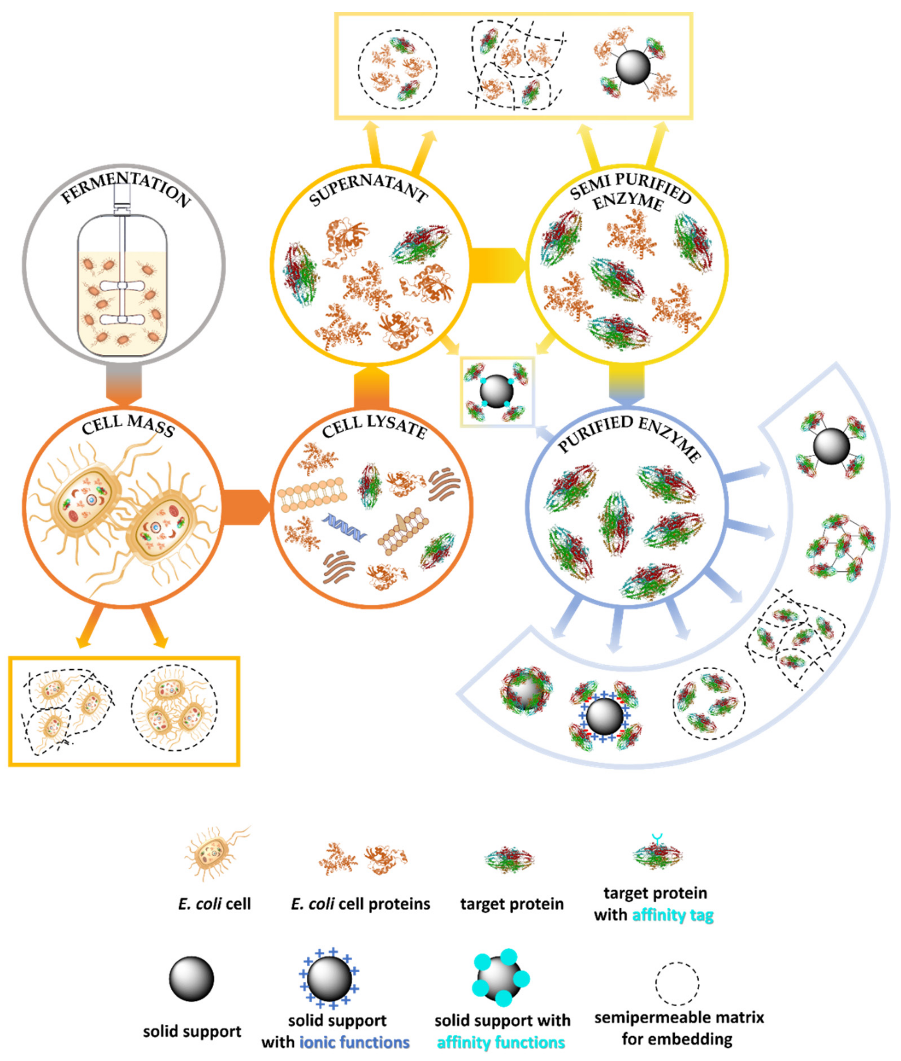 Molecules 24 04146 g001 Molecules 24 04146 g001