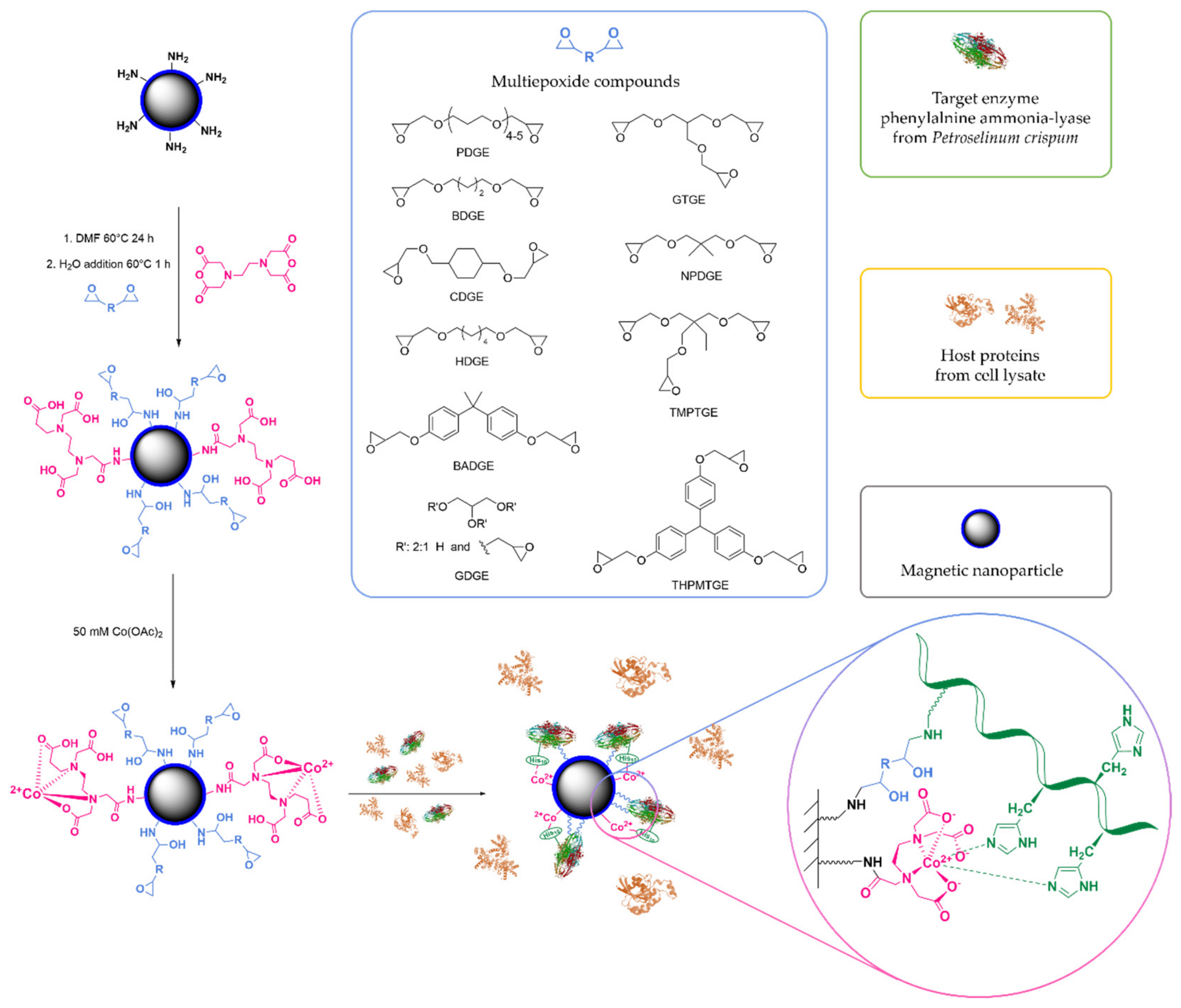 Molecules 24 04146 g002 Molecules 24 04146 g002