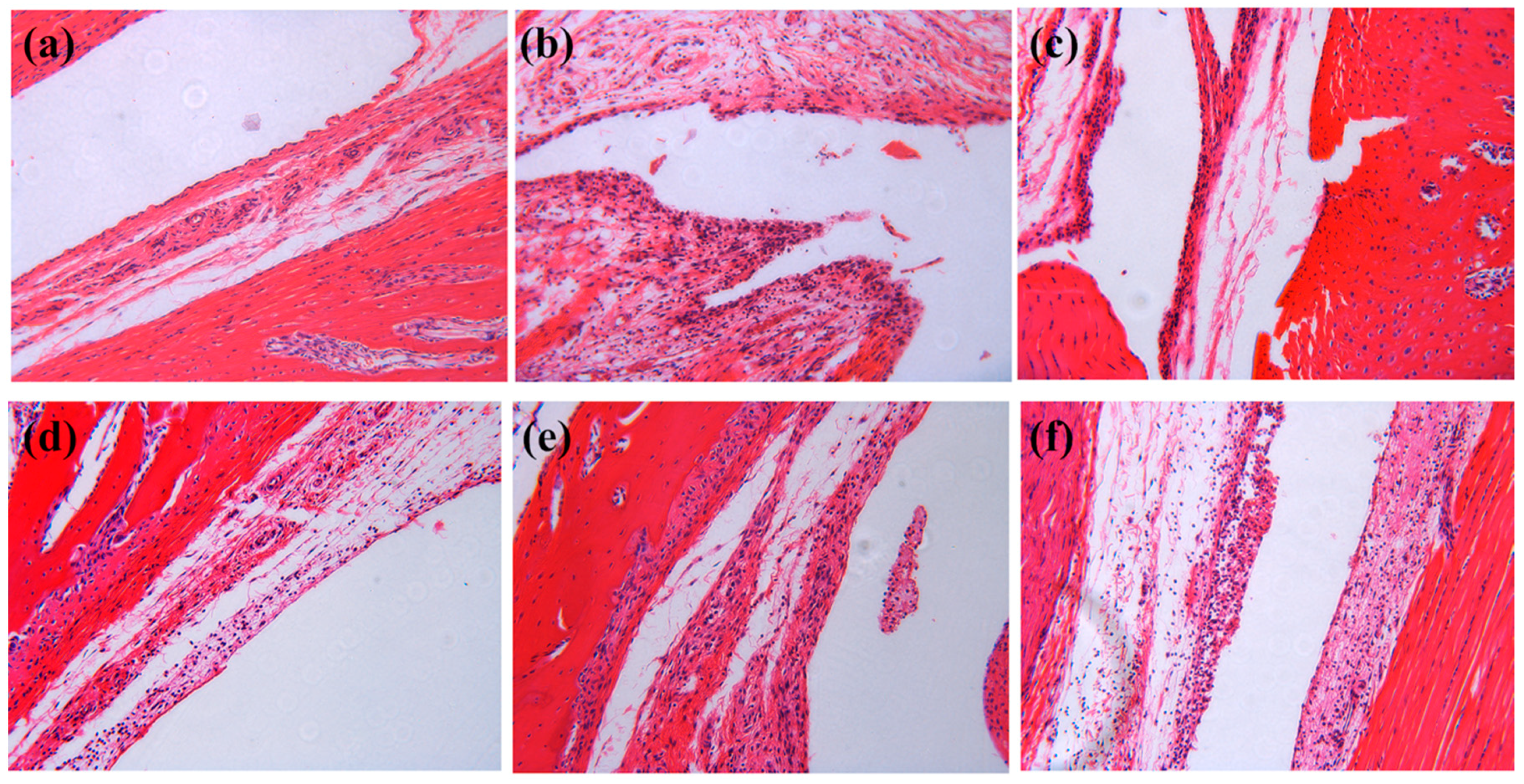Molecules 24 04152 g007