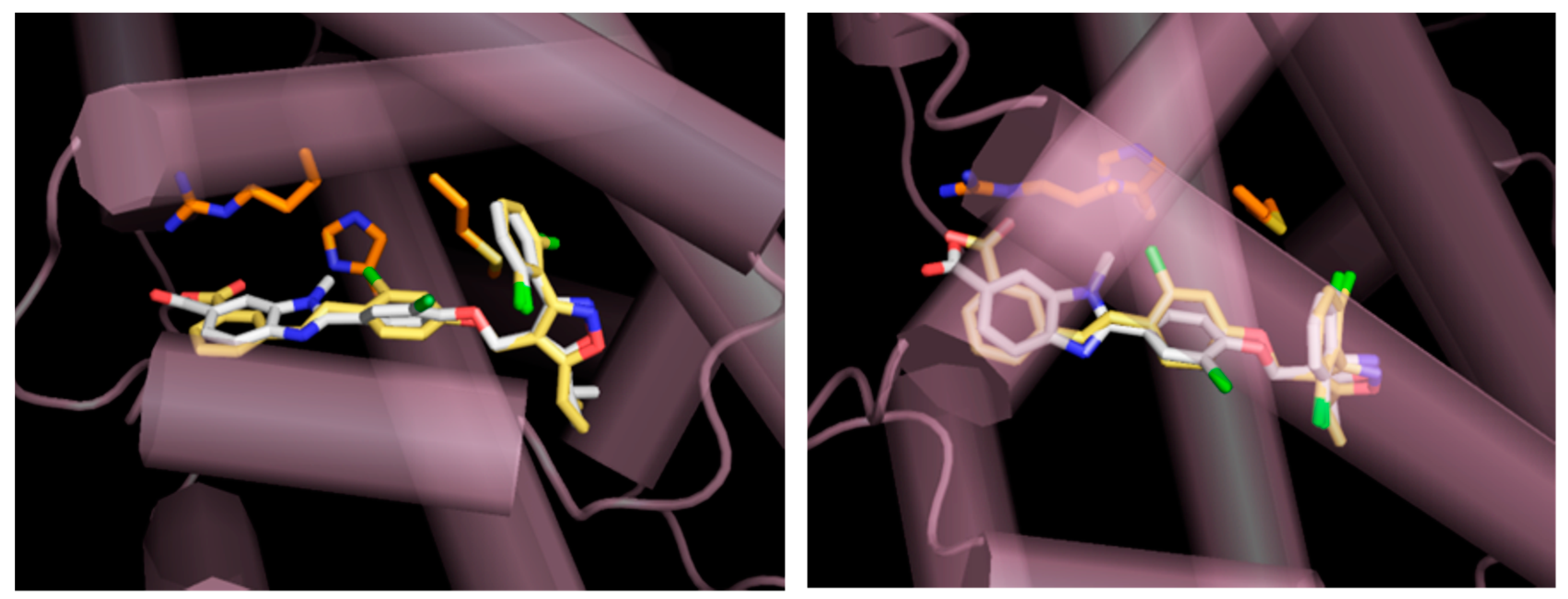 Molecules 24 04155 g001
