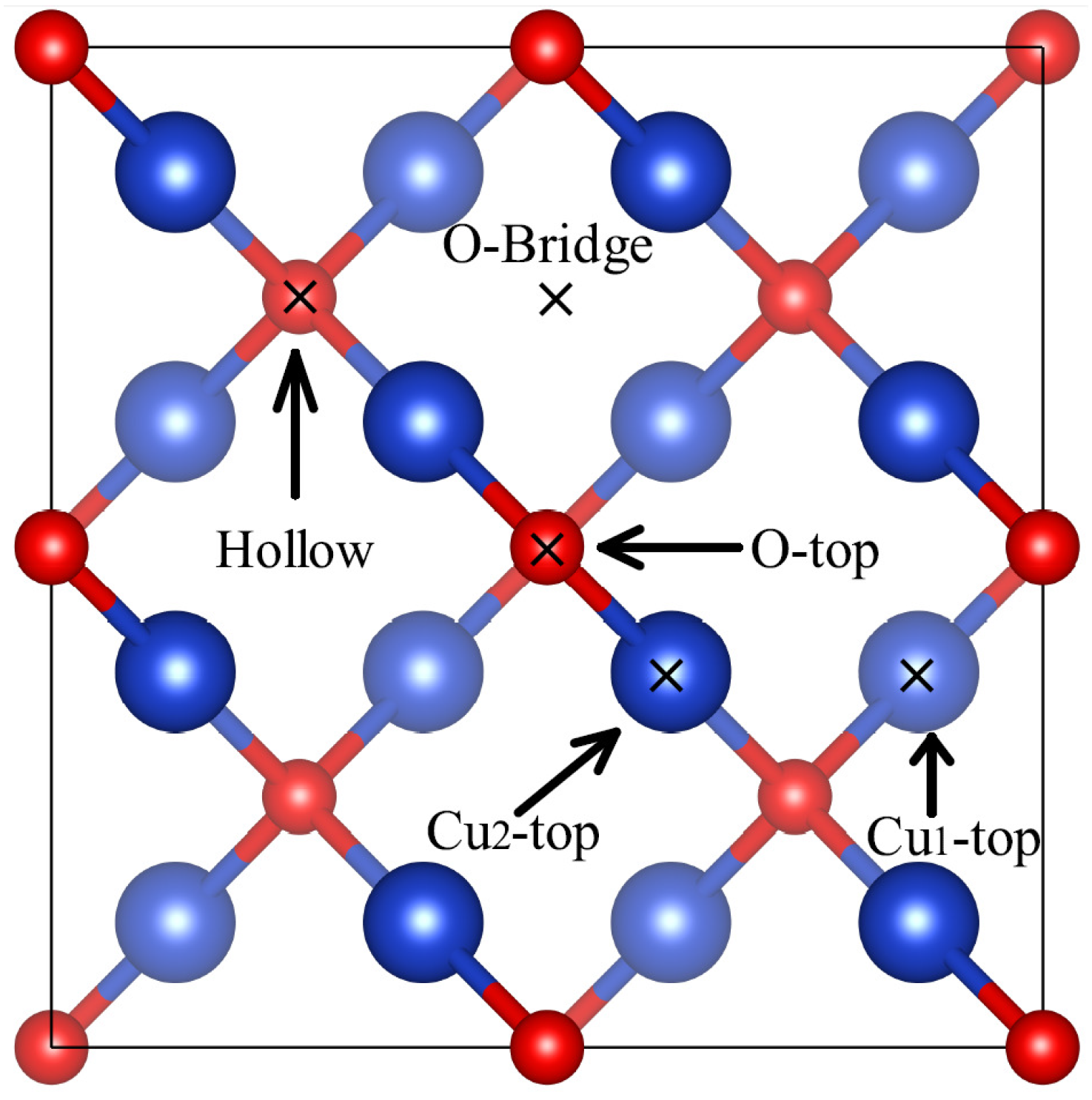 Molecules 24 04156 g003 Molecules 24 04156 g003