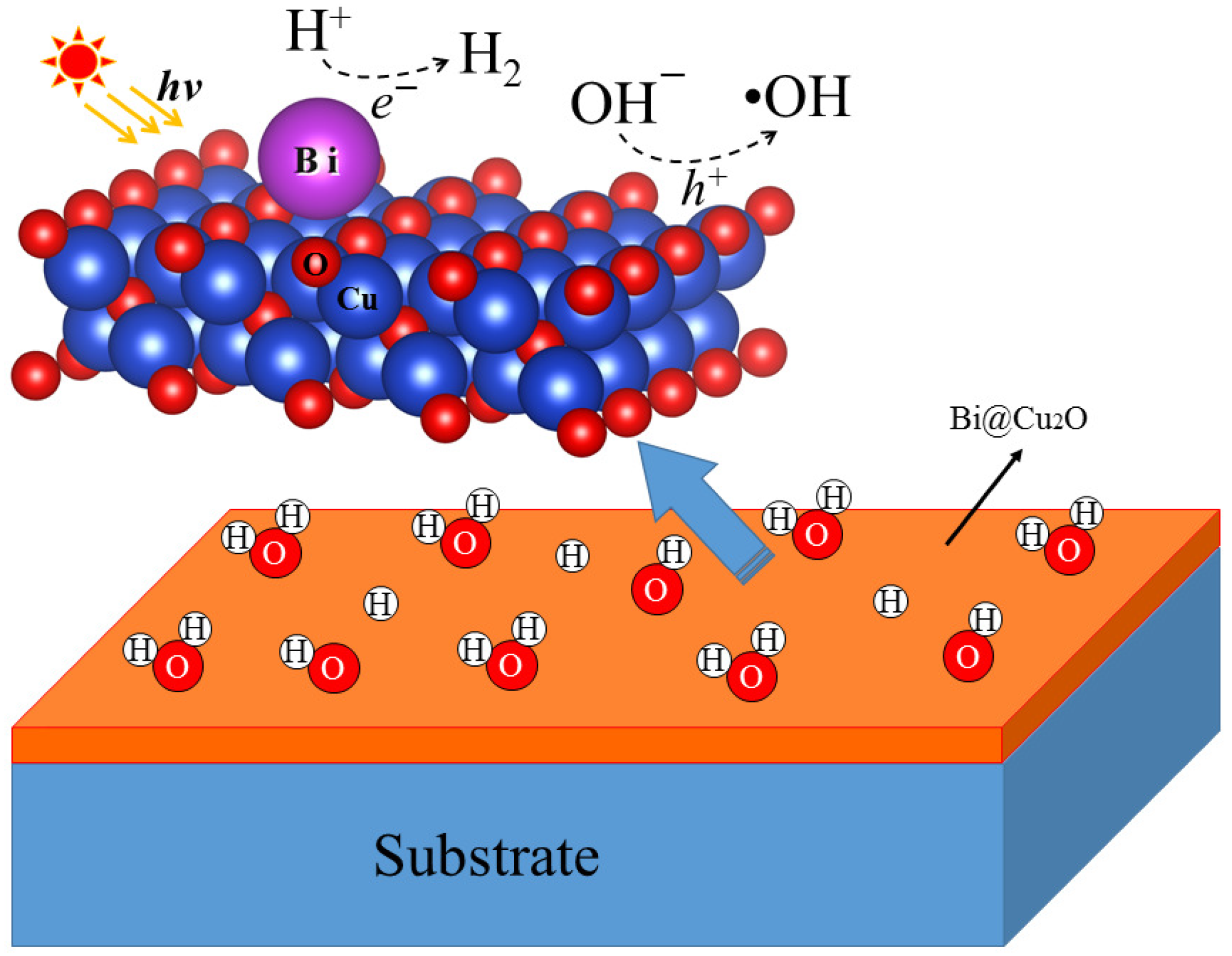 Molecules 24 04156 g005 Molecules 24 04156 g005