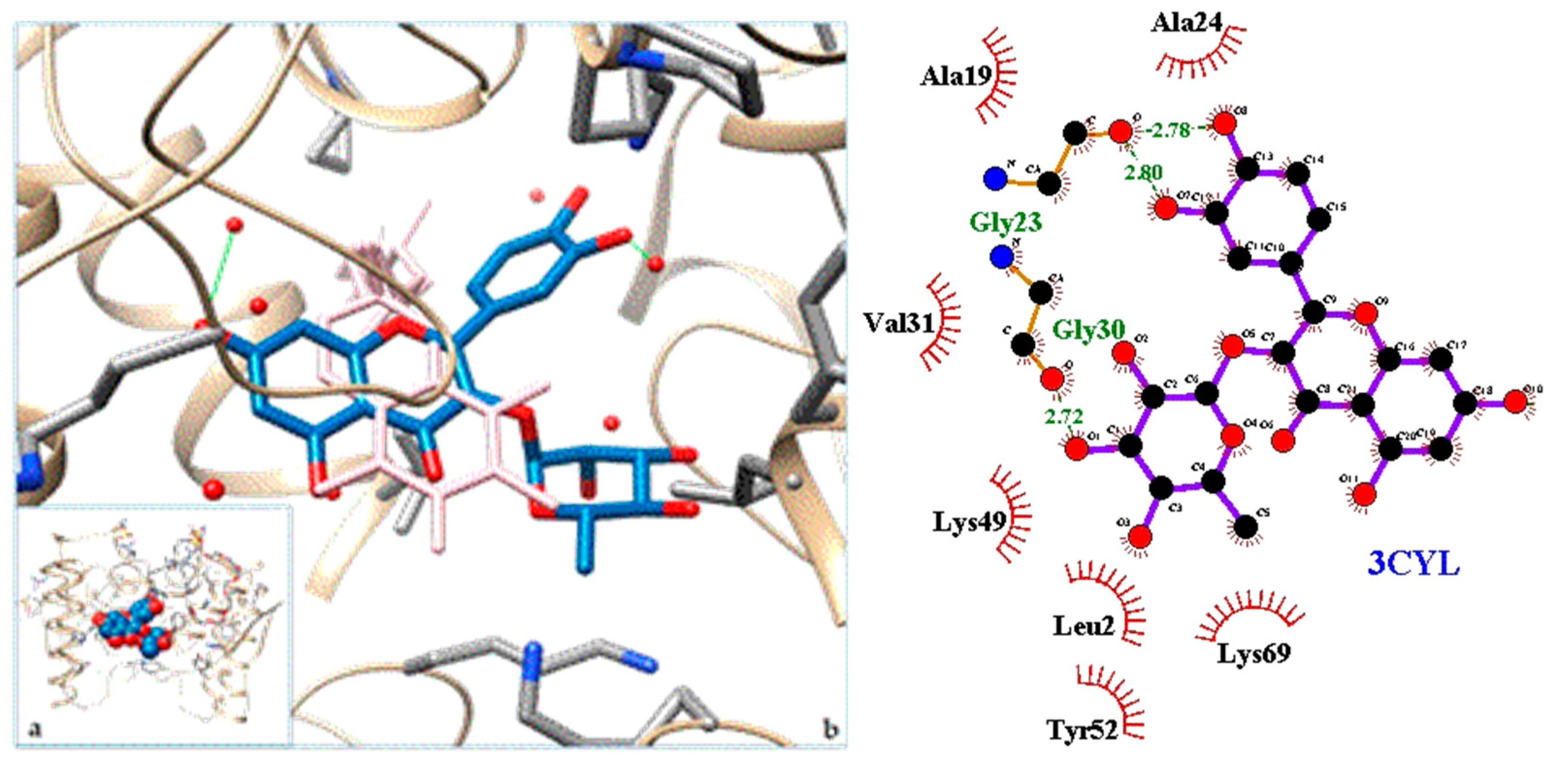 Molecules 24 04160 g005 Molecules 24 04160 g005